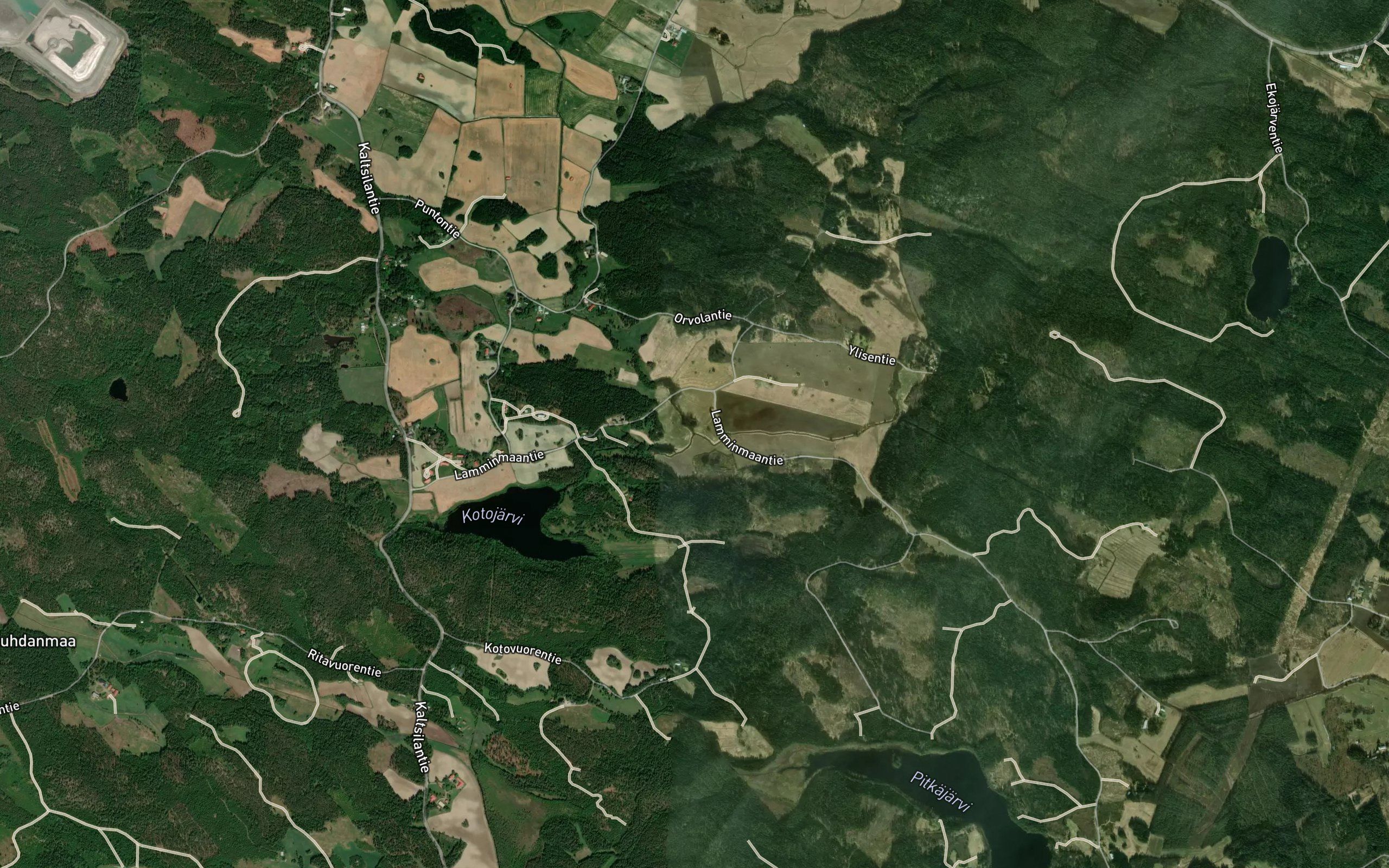 Lamminoja