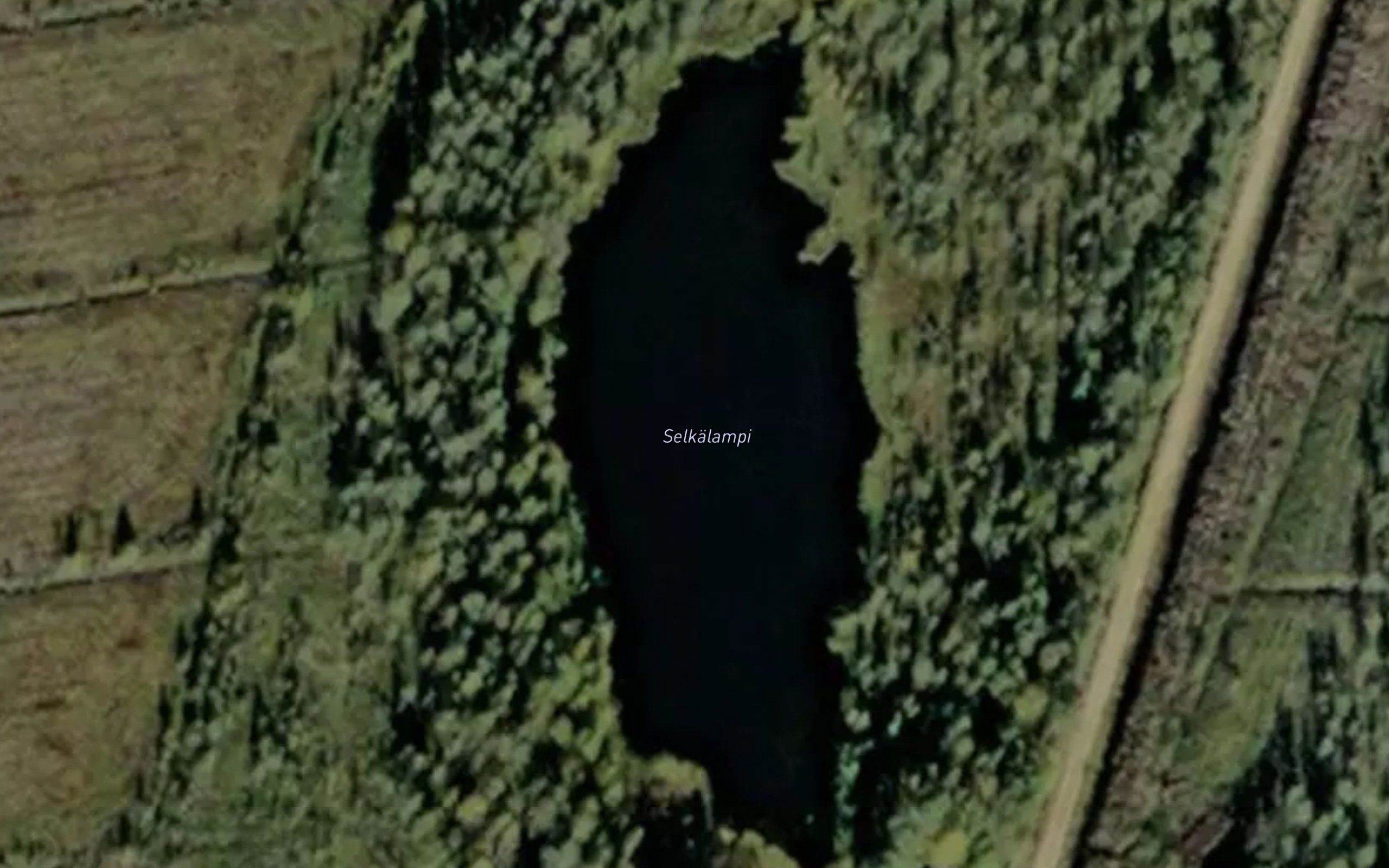 Selkalampi
