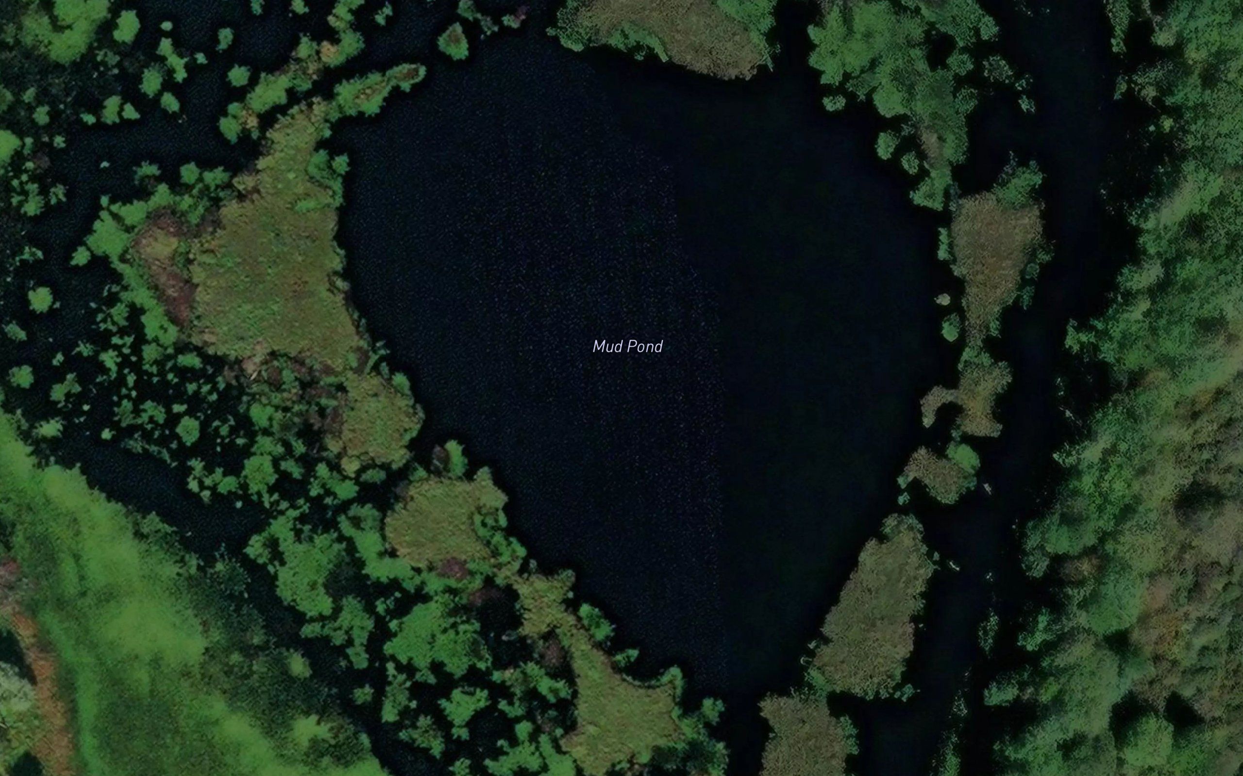 Mud Pond