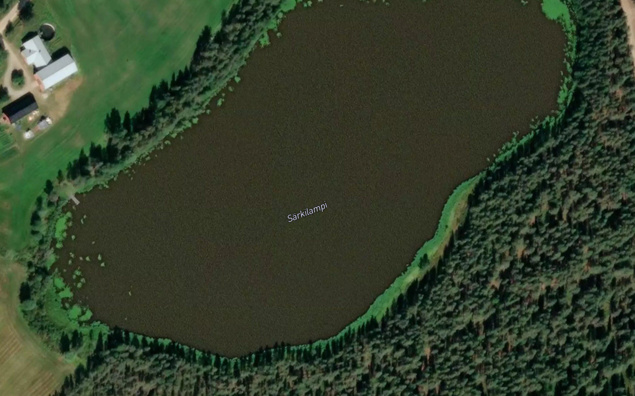 Sarkilampi