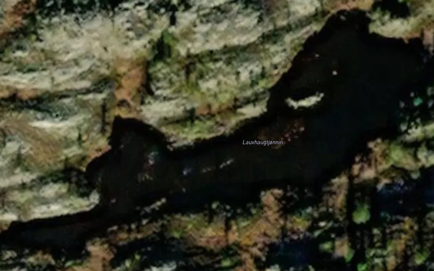 Satellite map of the Lauvhaugtjornin