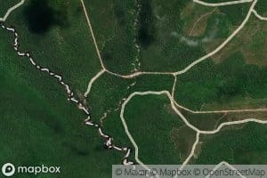 Jackson Springs Branch