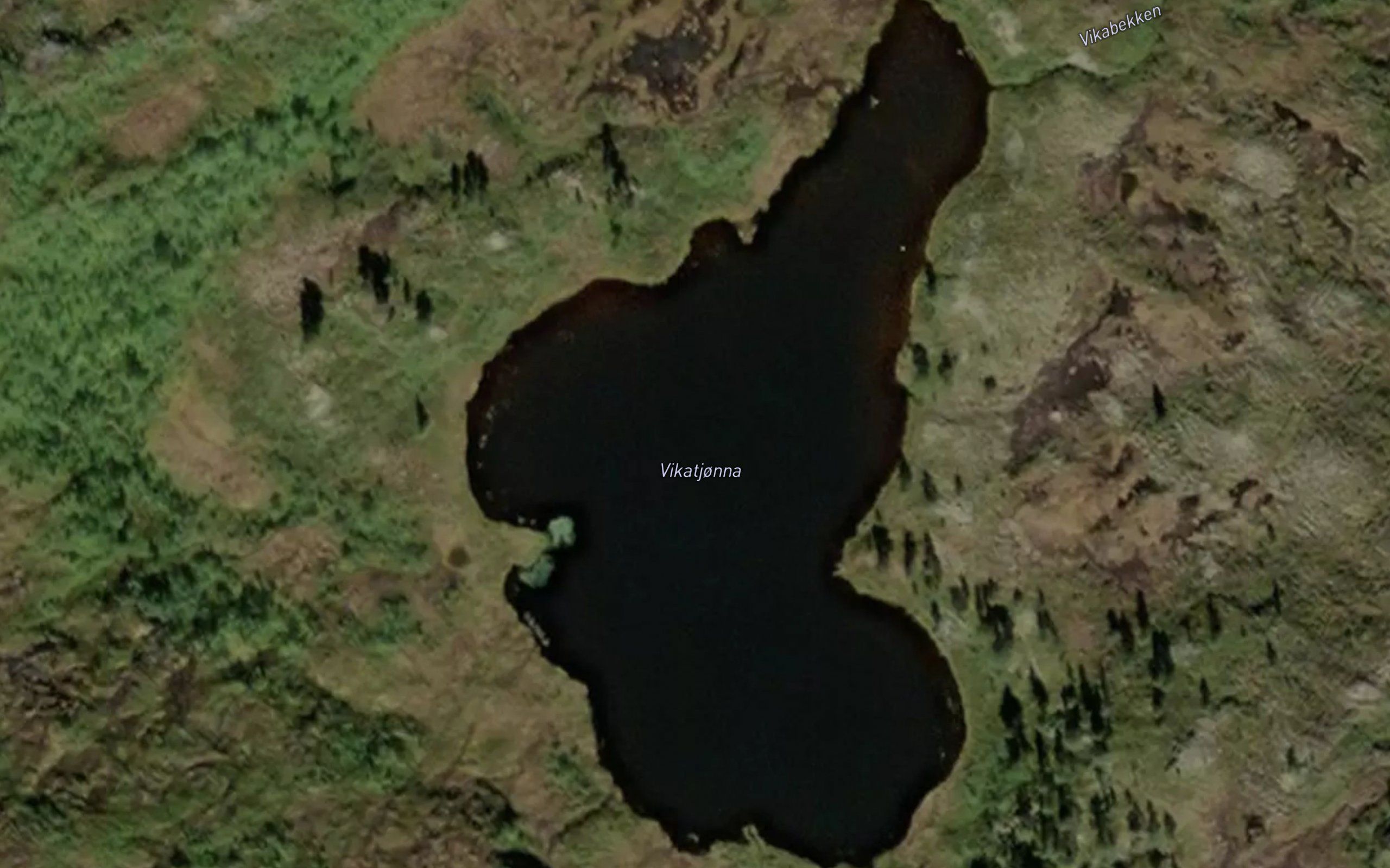Vikatjorna