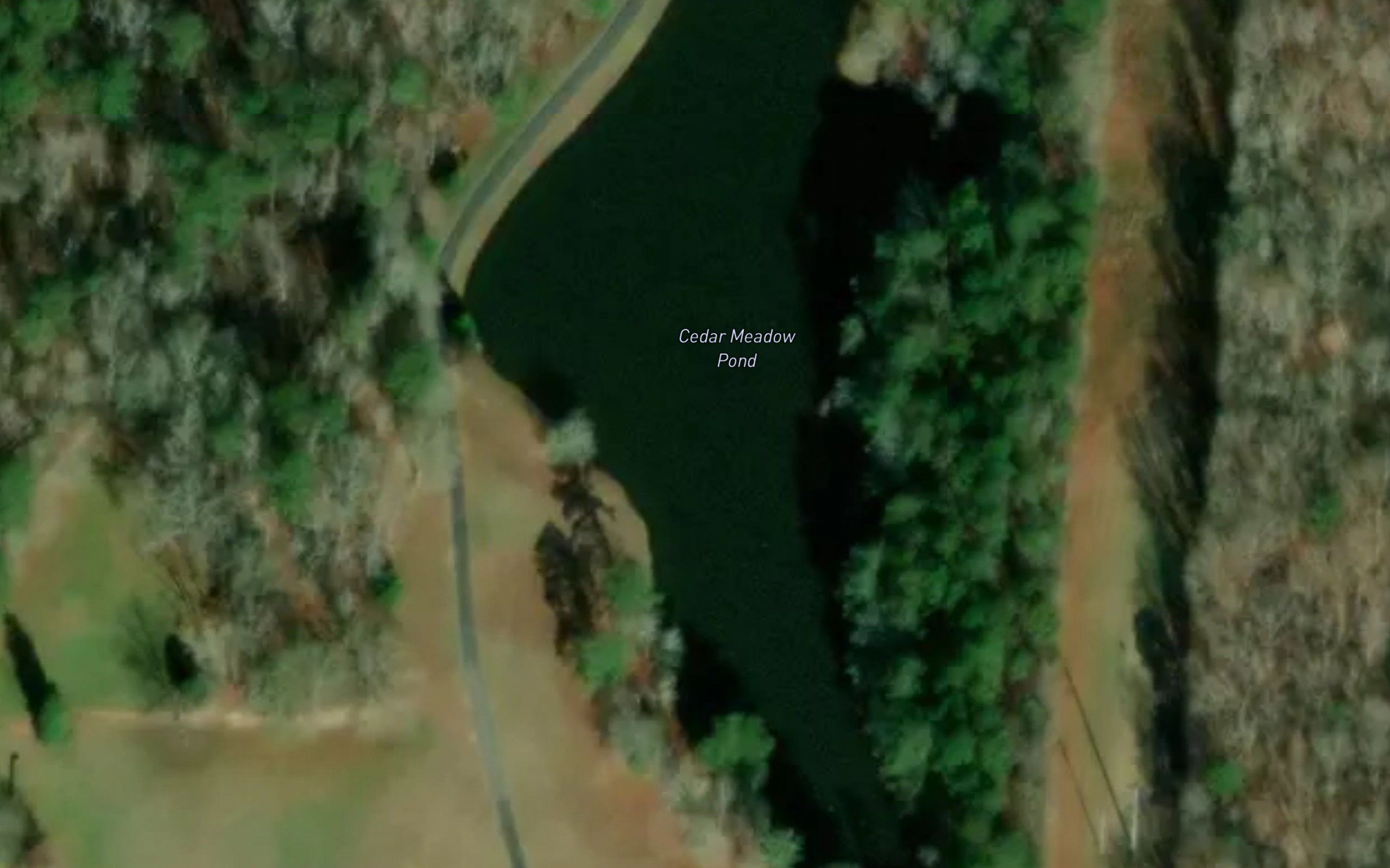 Cedar Meadow Pond
