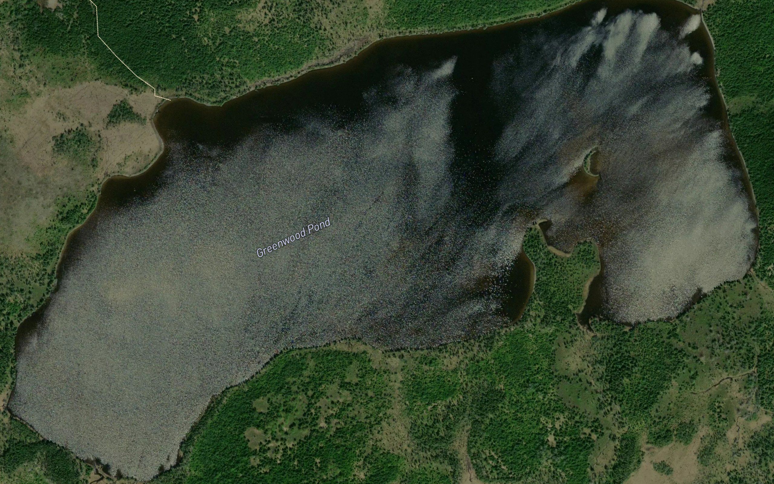 Greenwood Pond