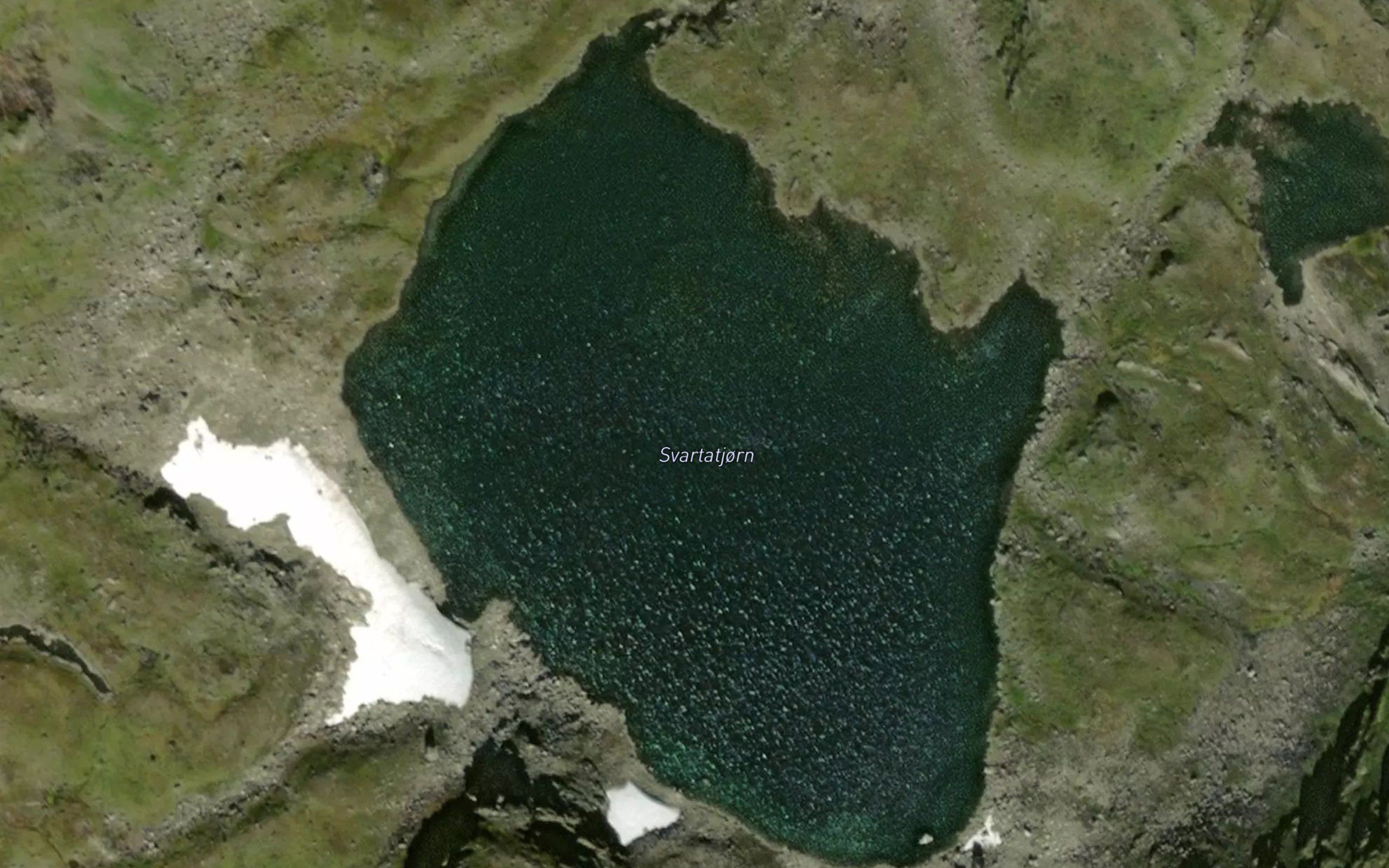 Svartatjorn