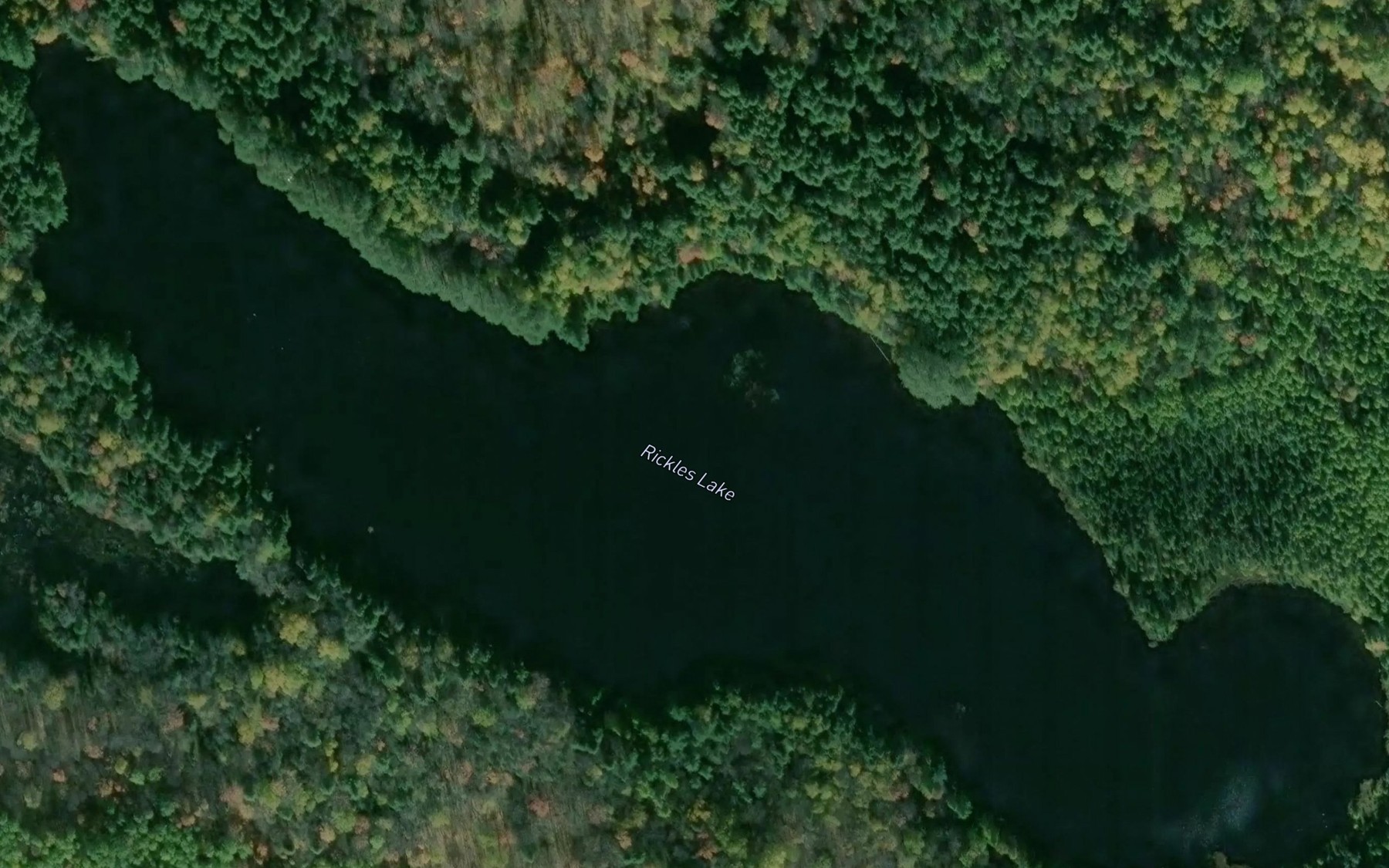 Satellite map of the Rickles Lake