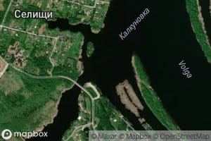 Kalkunovka