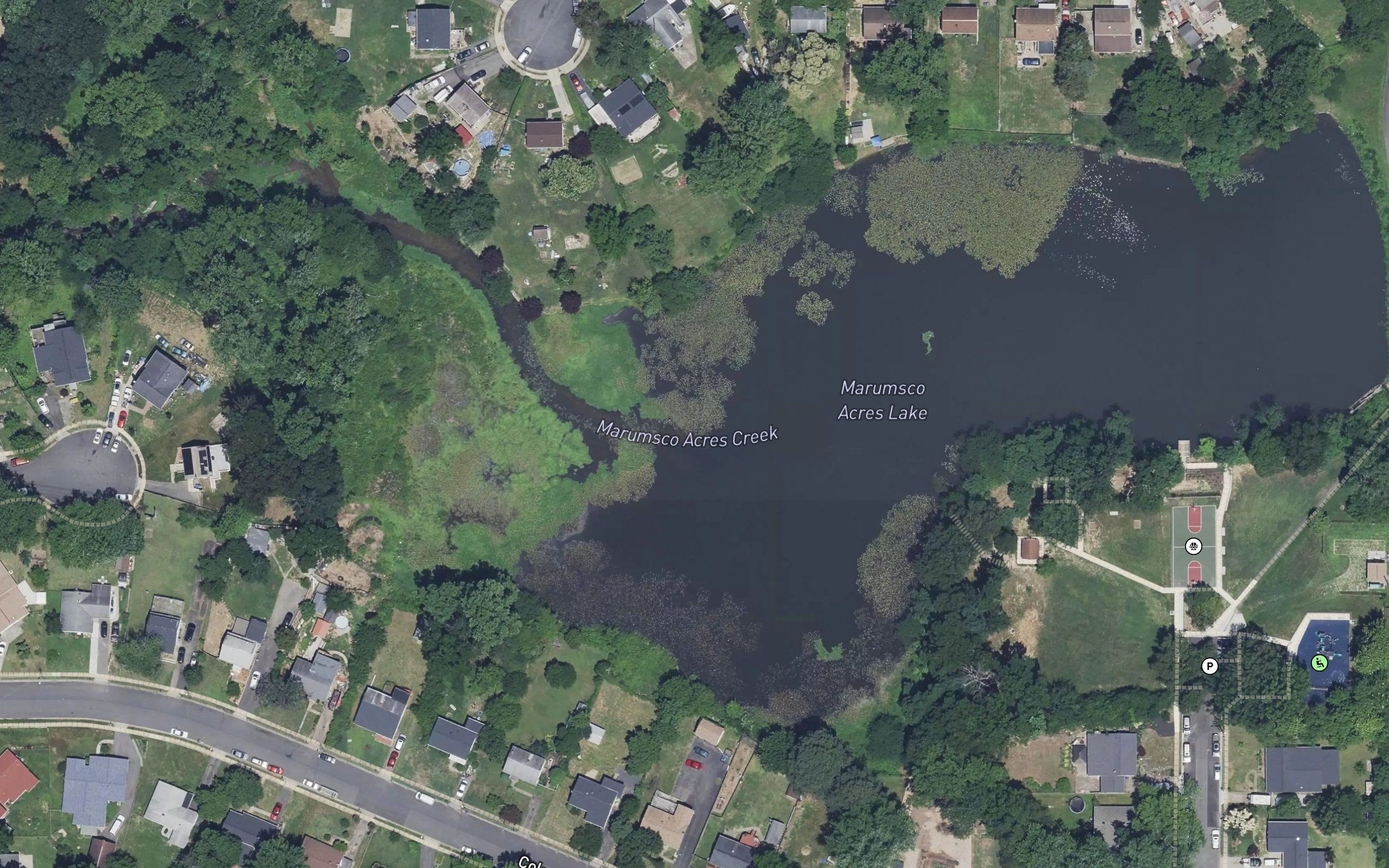 Marumsco Acres Lake