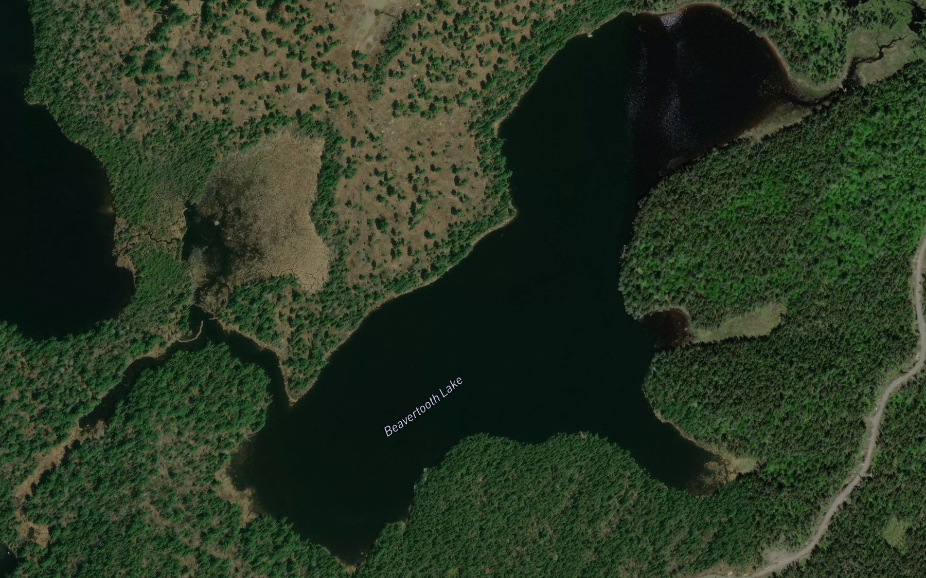 Satellite map of the Beavertooth Lake