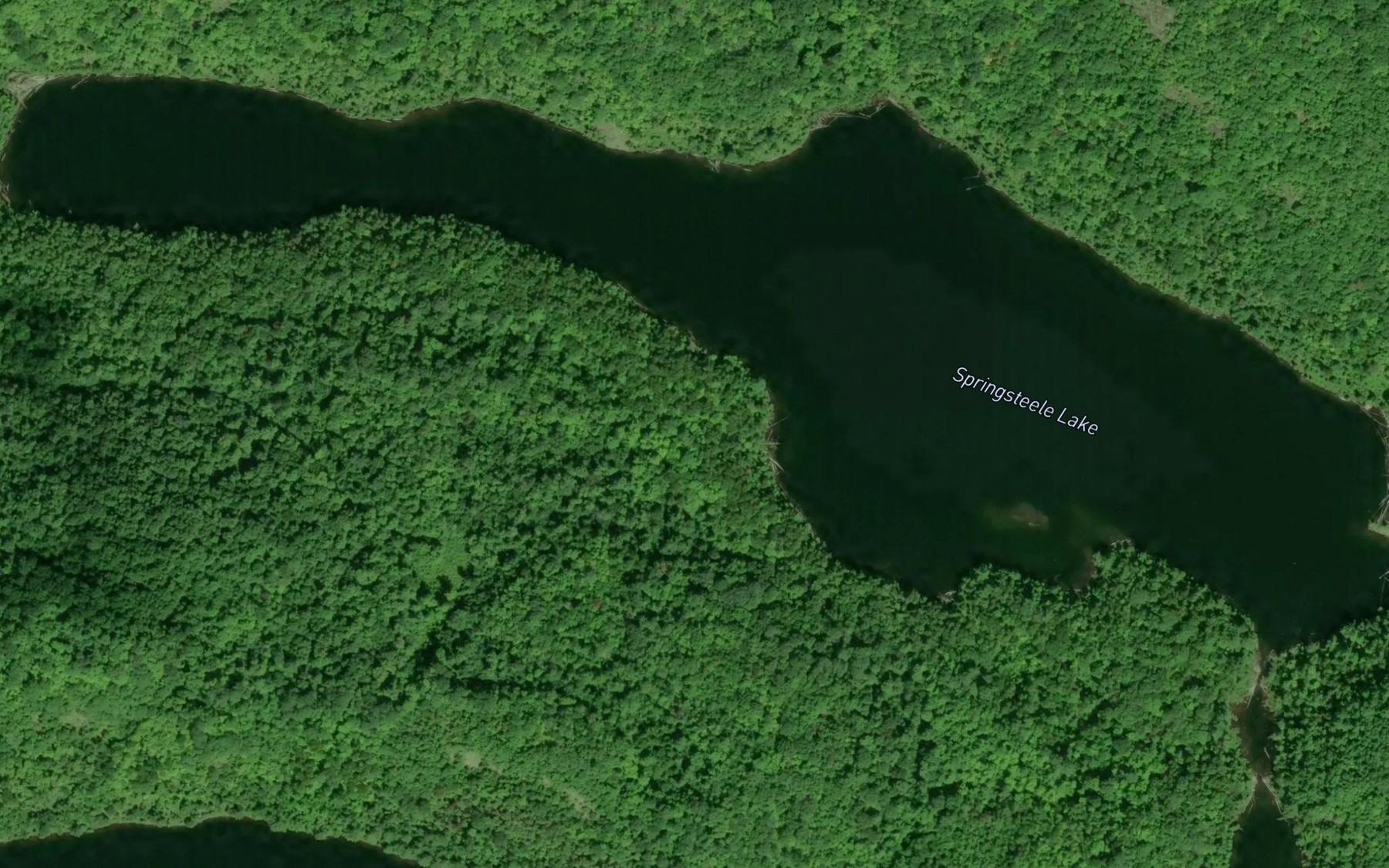 Satellite map of the Springsteele Lake