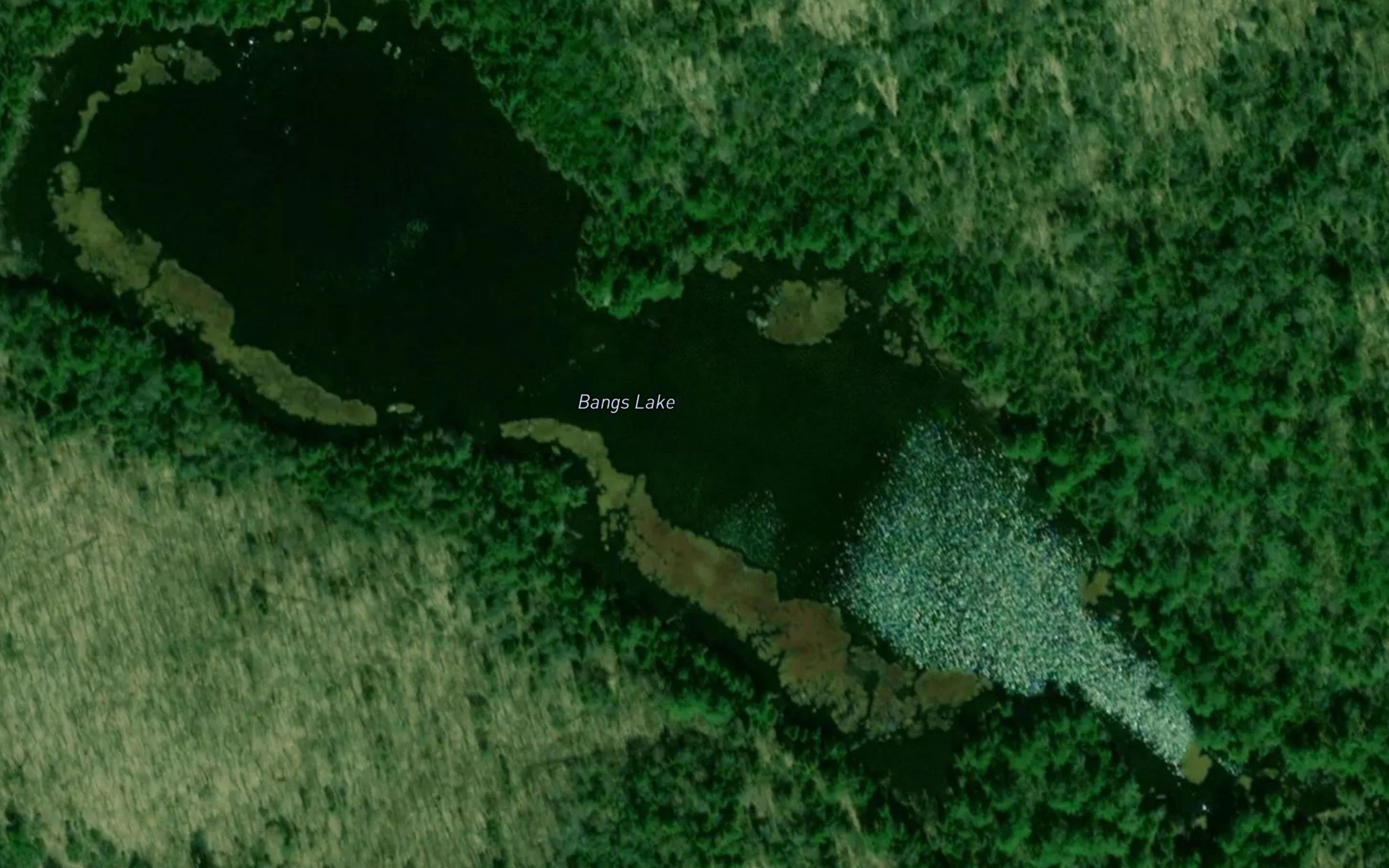 Bangs Lake