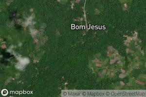 Igarape Braco do Araxiteua