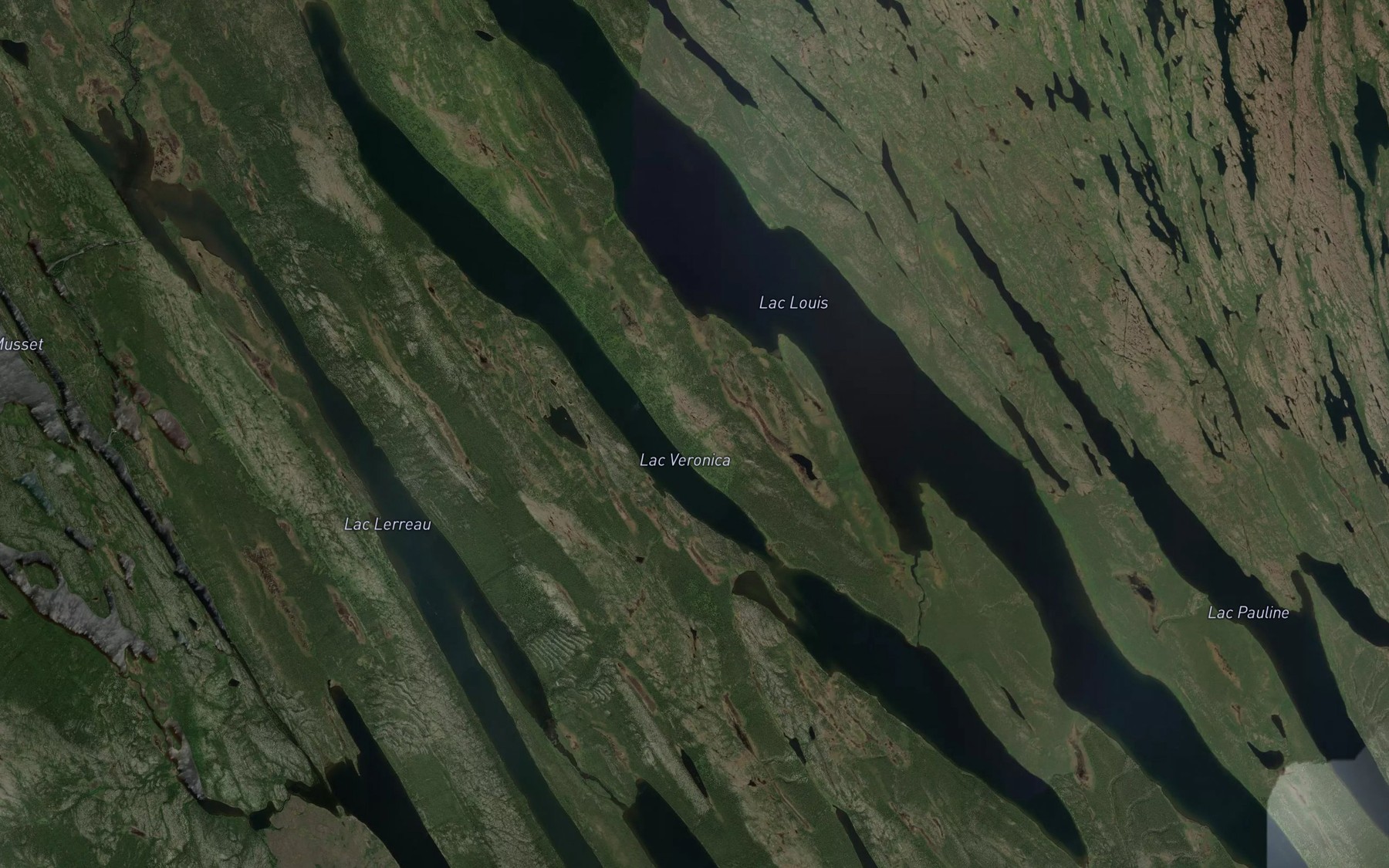 Satellite map of the Lac Veronica