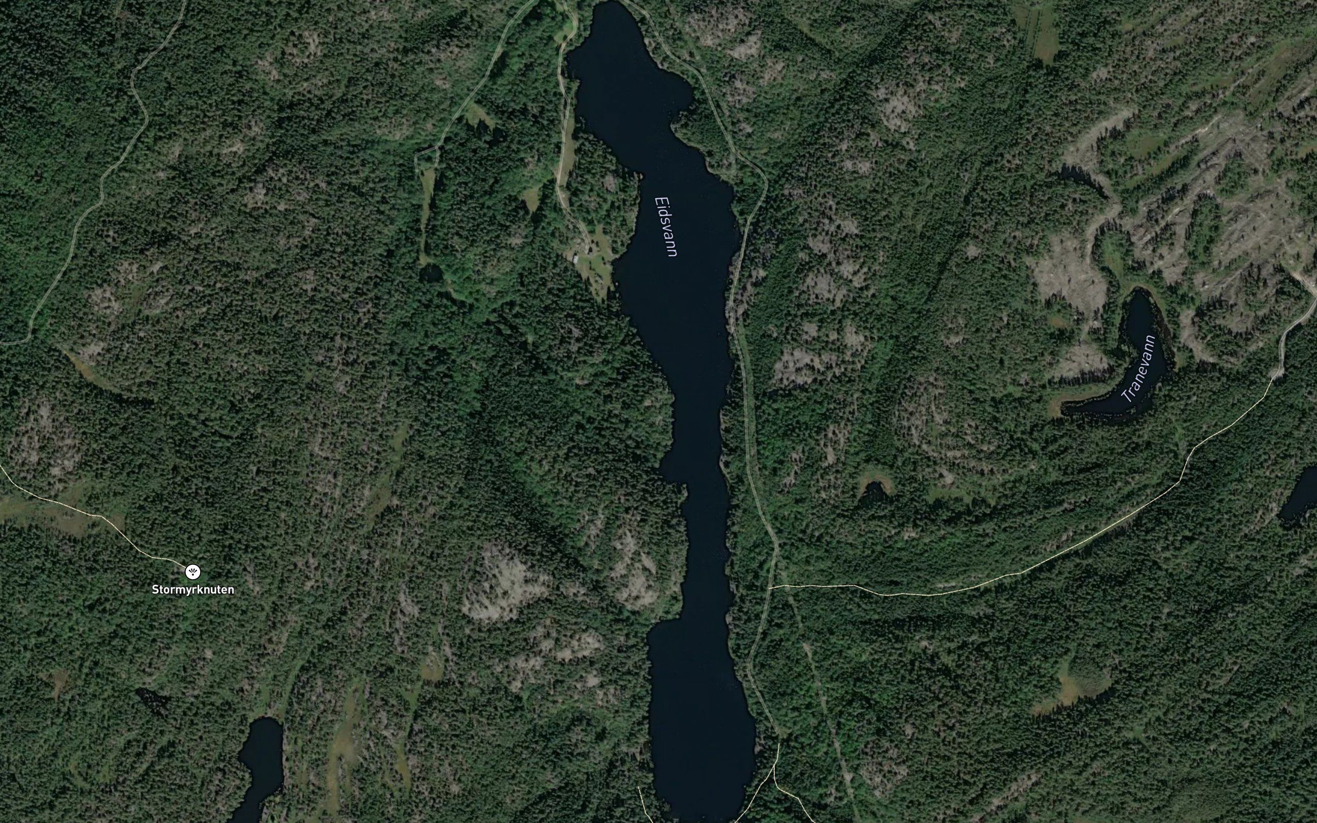 Eidsvann