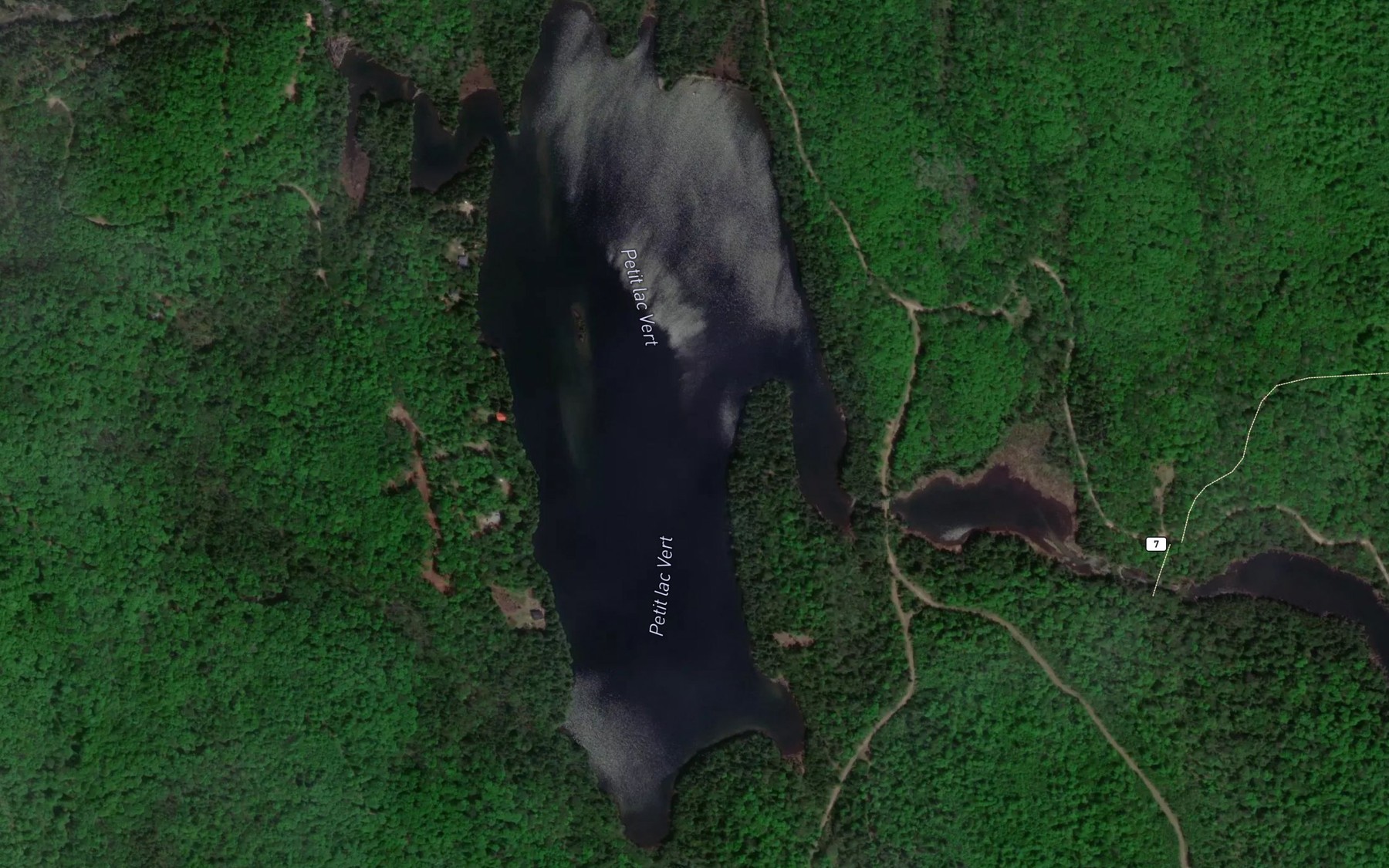 Satellite map of the Petit lac Vert