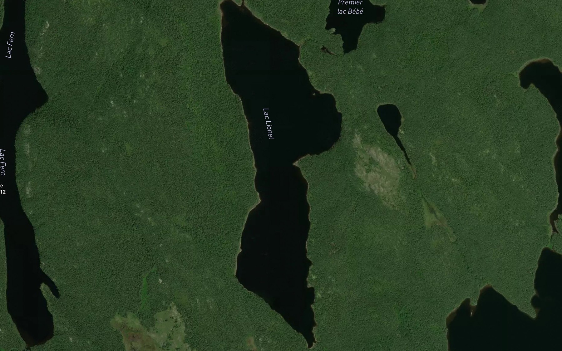 Satellite map of the Lac Lionel