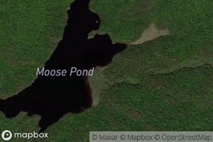 Grass Pond Outlet