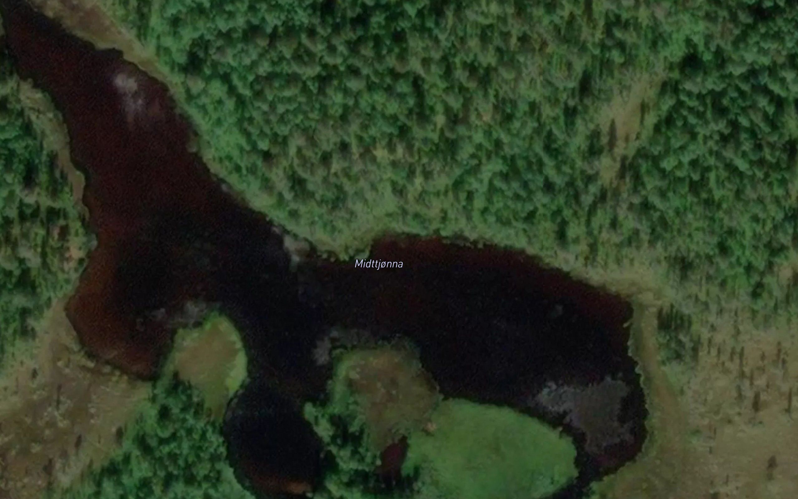 Midttjorn