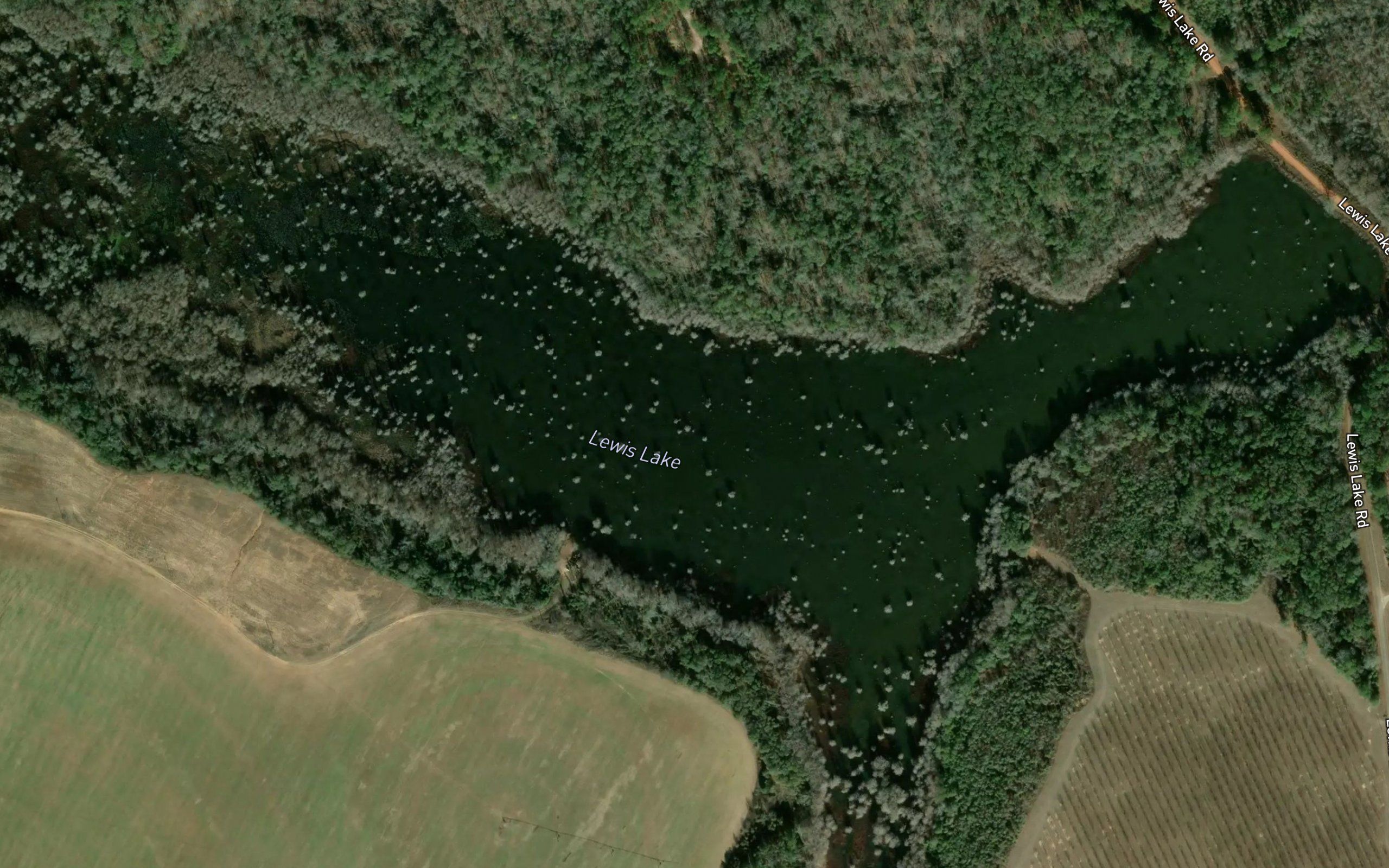 Lewis Lake