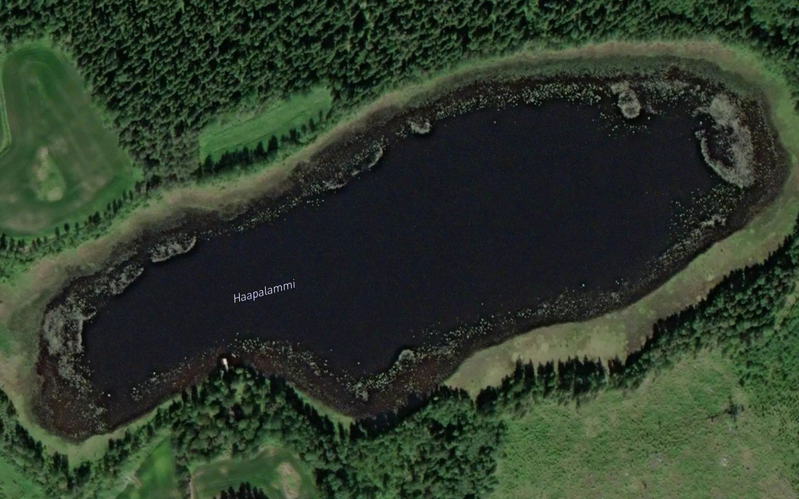 Haapalammi