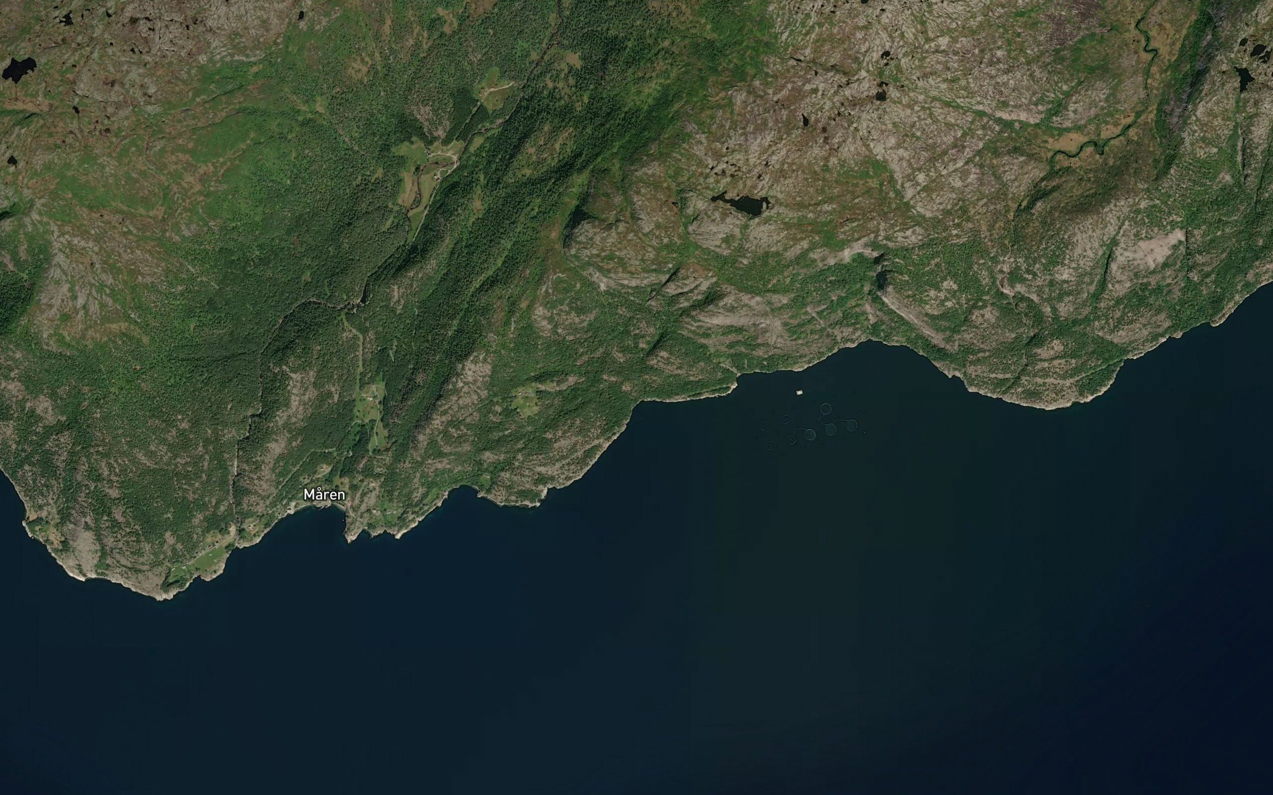 Moldgrovi
