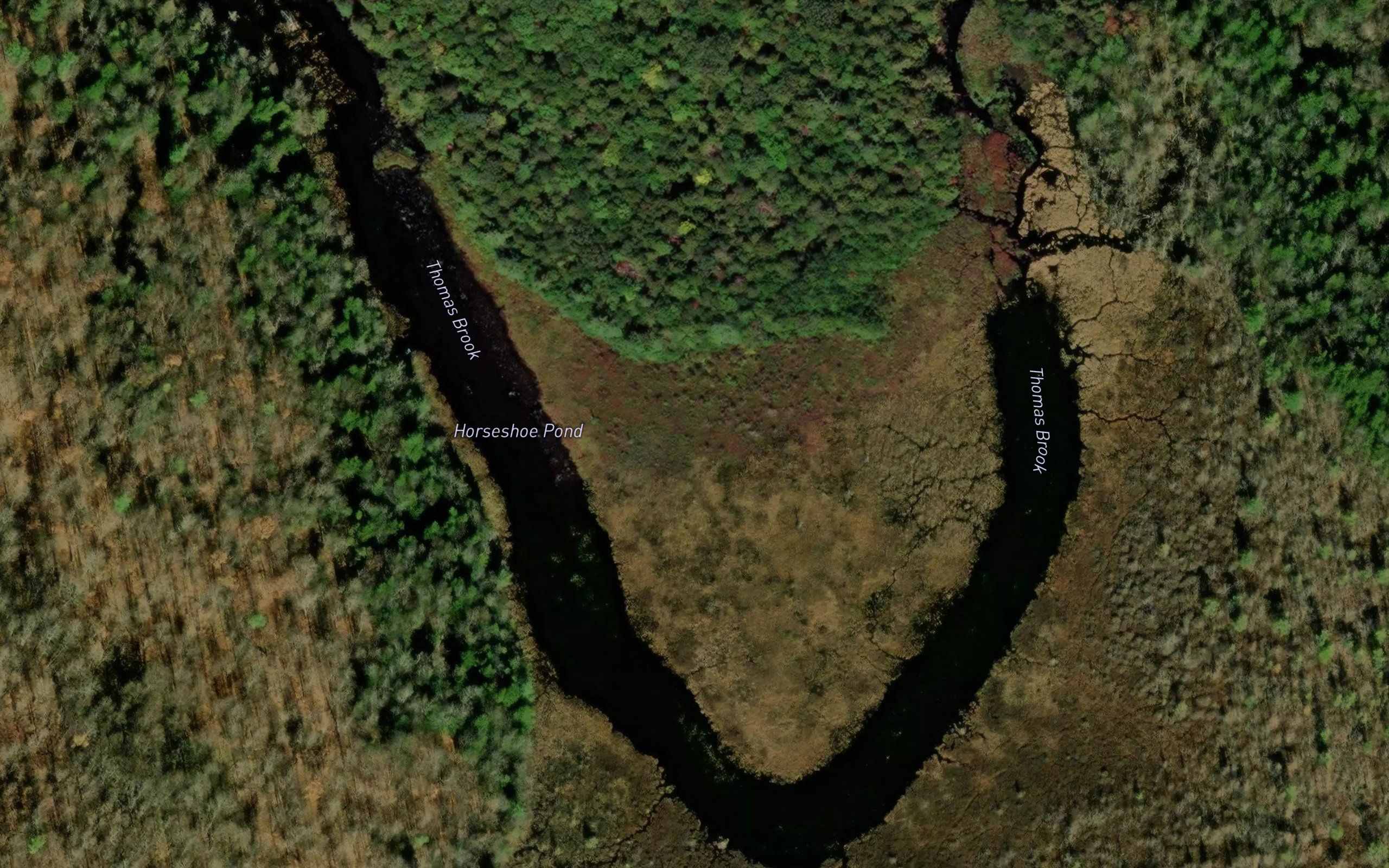 Horseshoe Pond