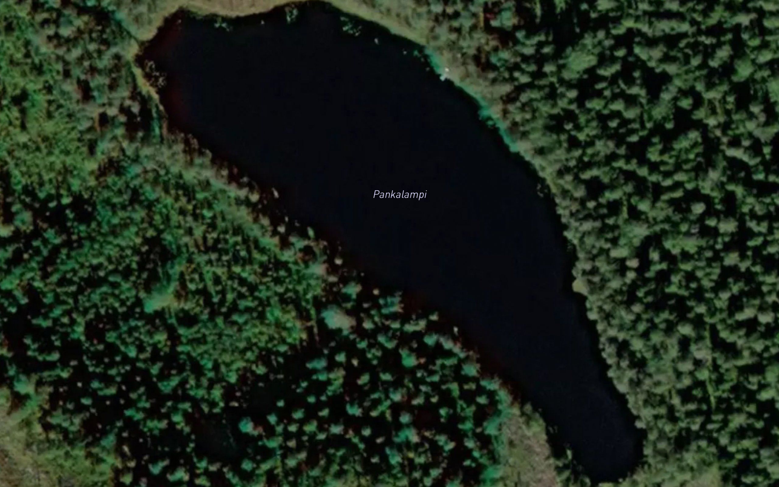 Pankalampi