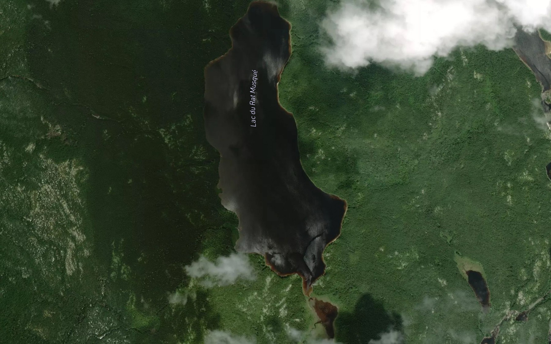 Satellite map of the Lac du Rat Musque