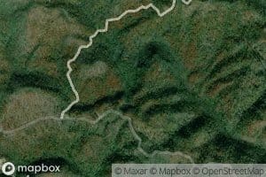 Left Fork Upper Twin Branch