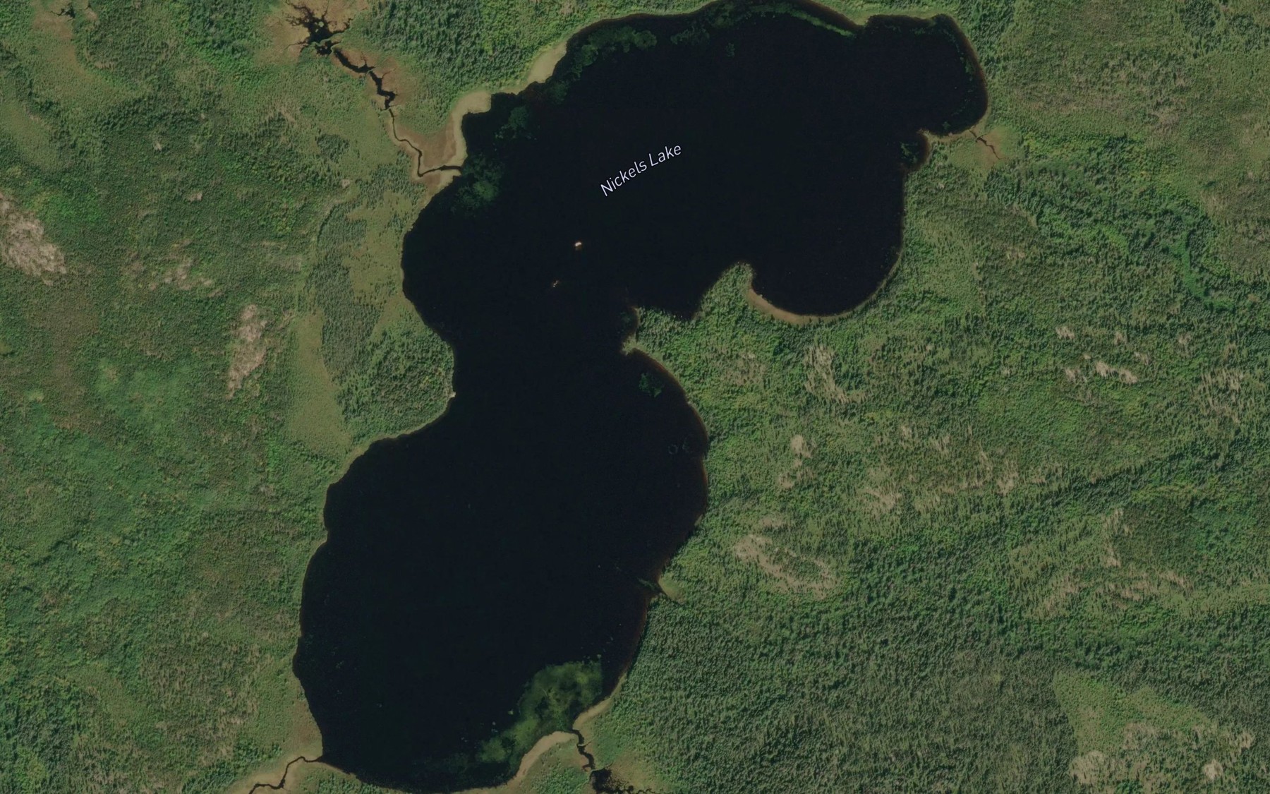 Satellite map of the Nickels Lake