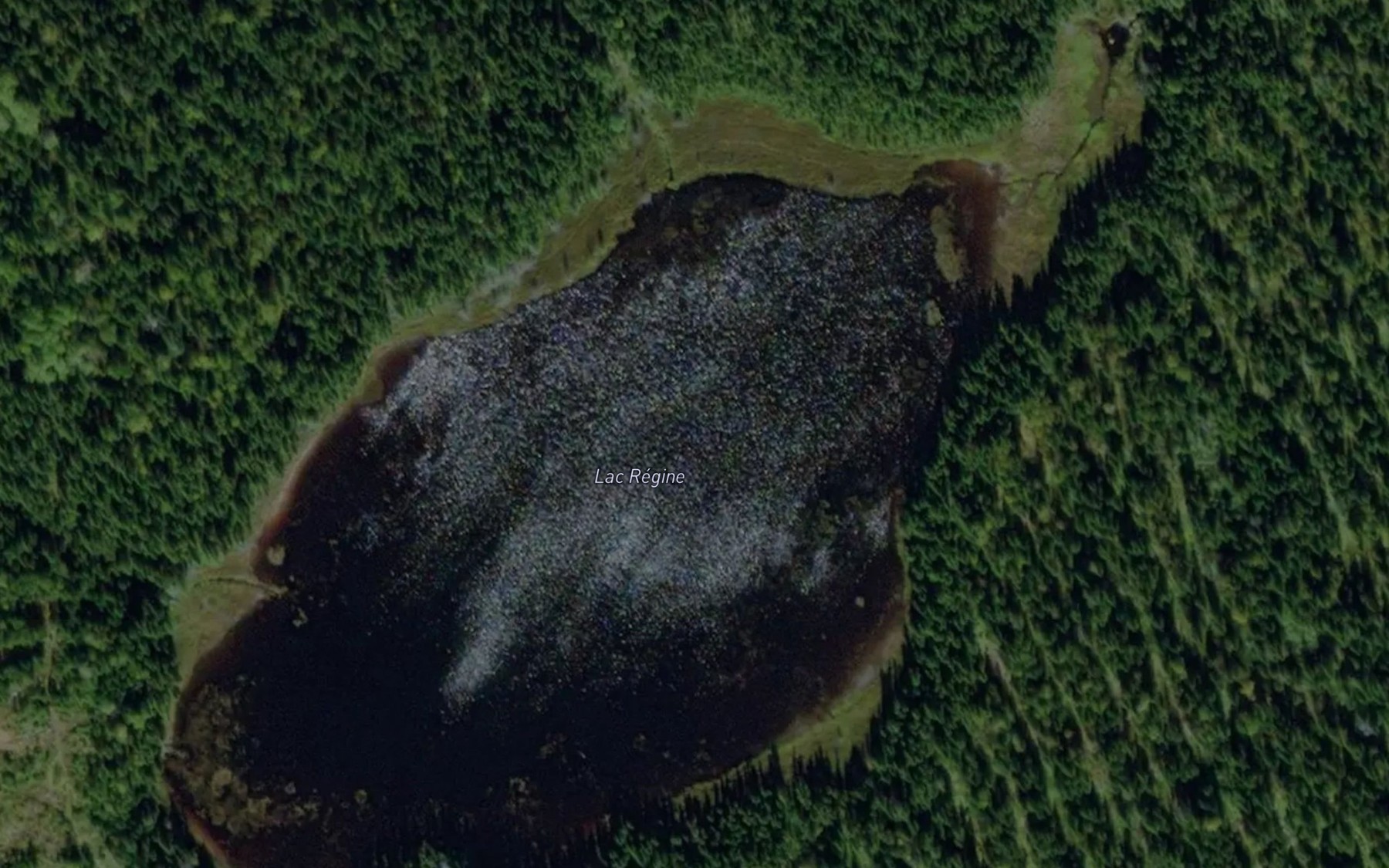 Satellite map of the Lac Regine
