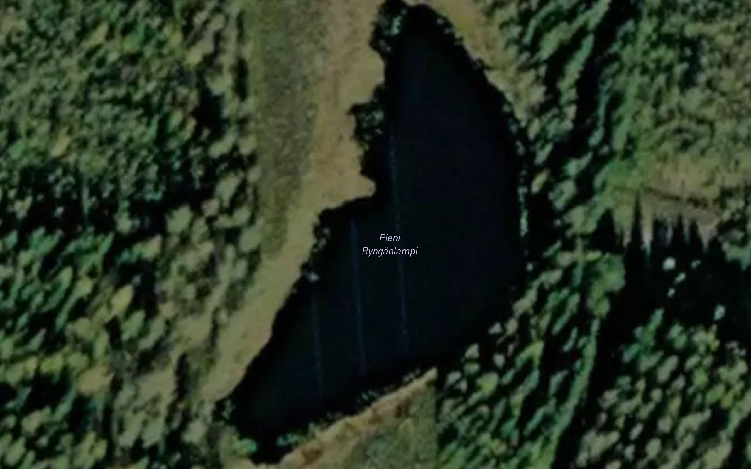 Pieni Rynganlampi