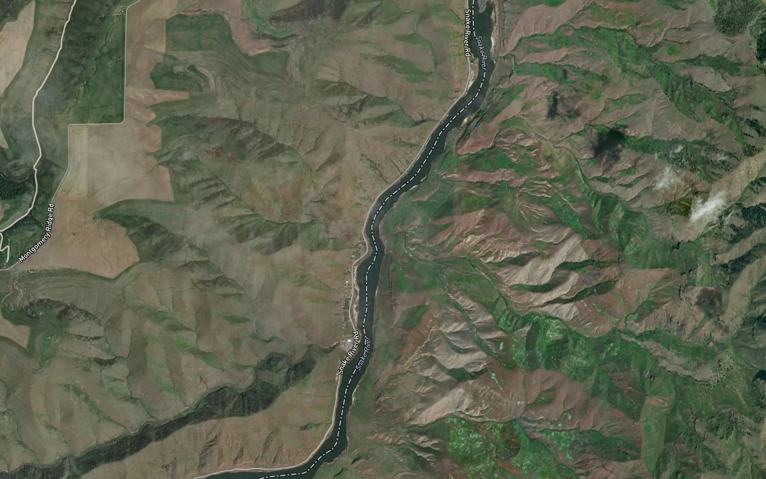 Billy Creek