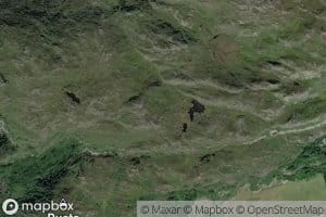 Gravarstitjorna