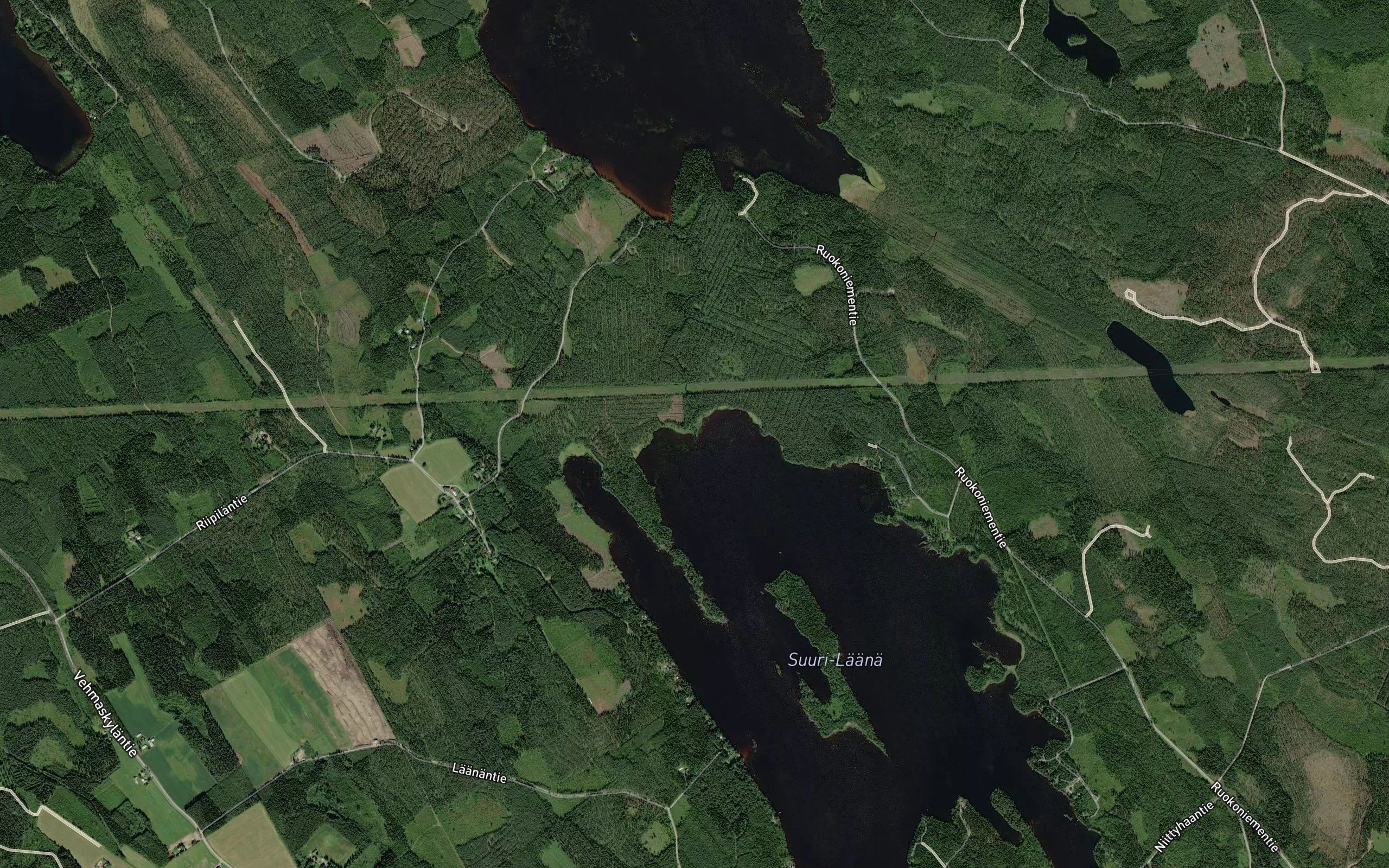 Ruokojoki