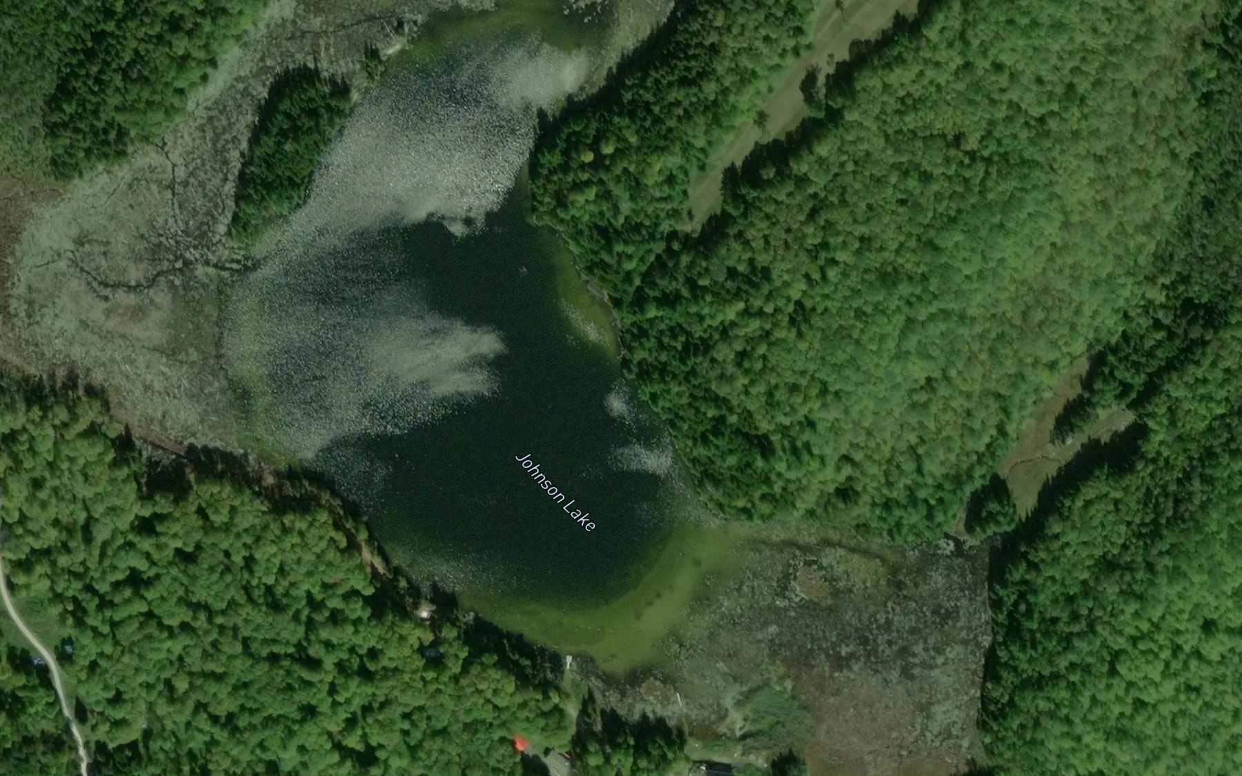 Satellite map of the Johnson Lake