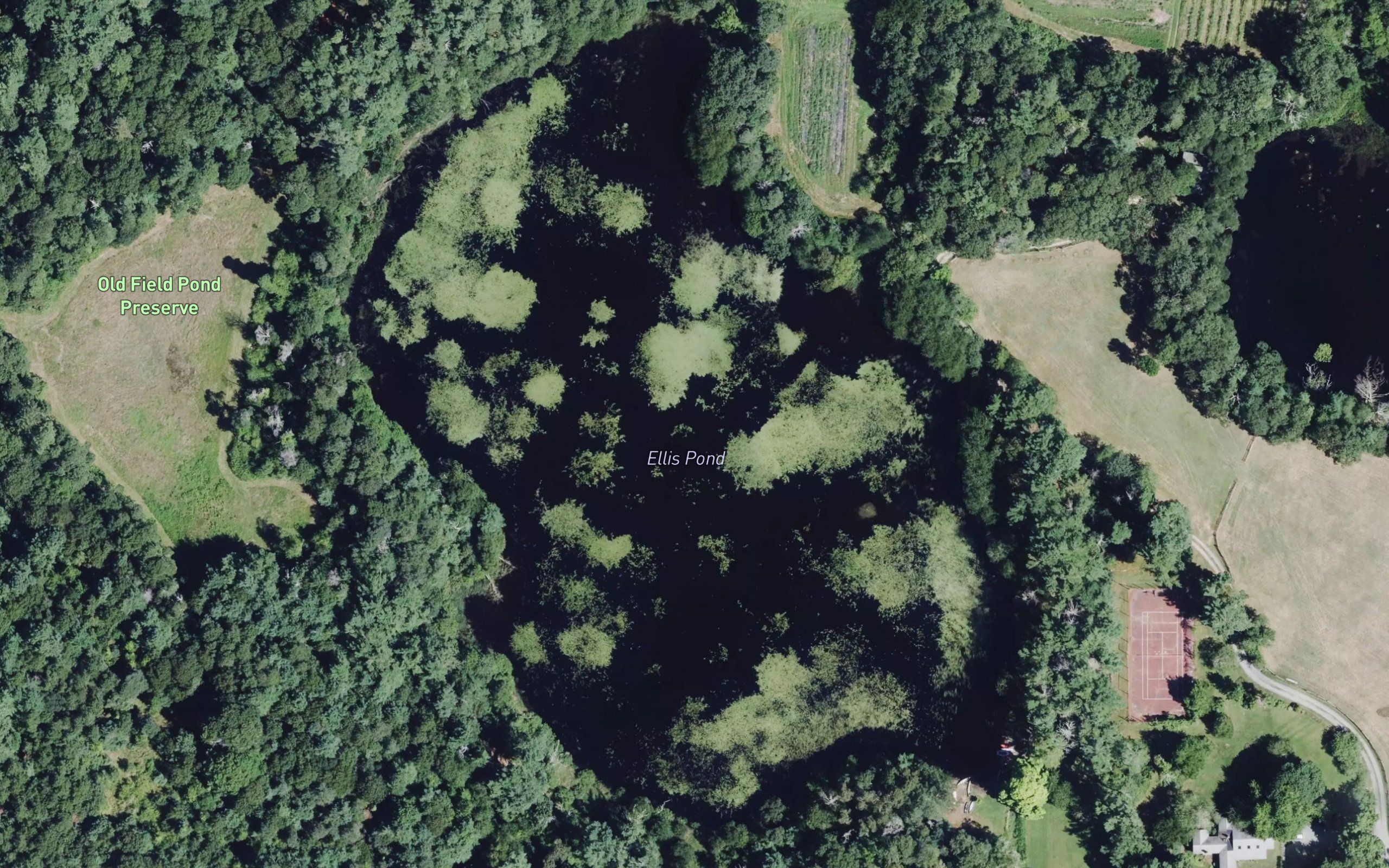 Ellis Pond