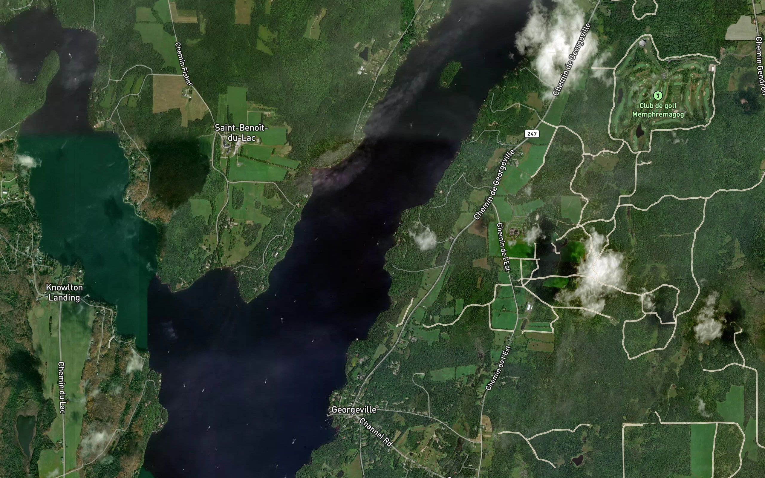 Baie Hemlocks