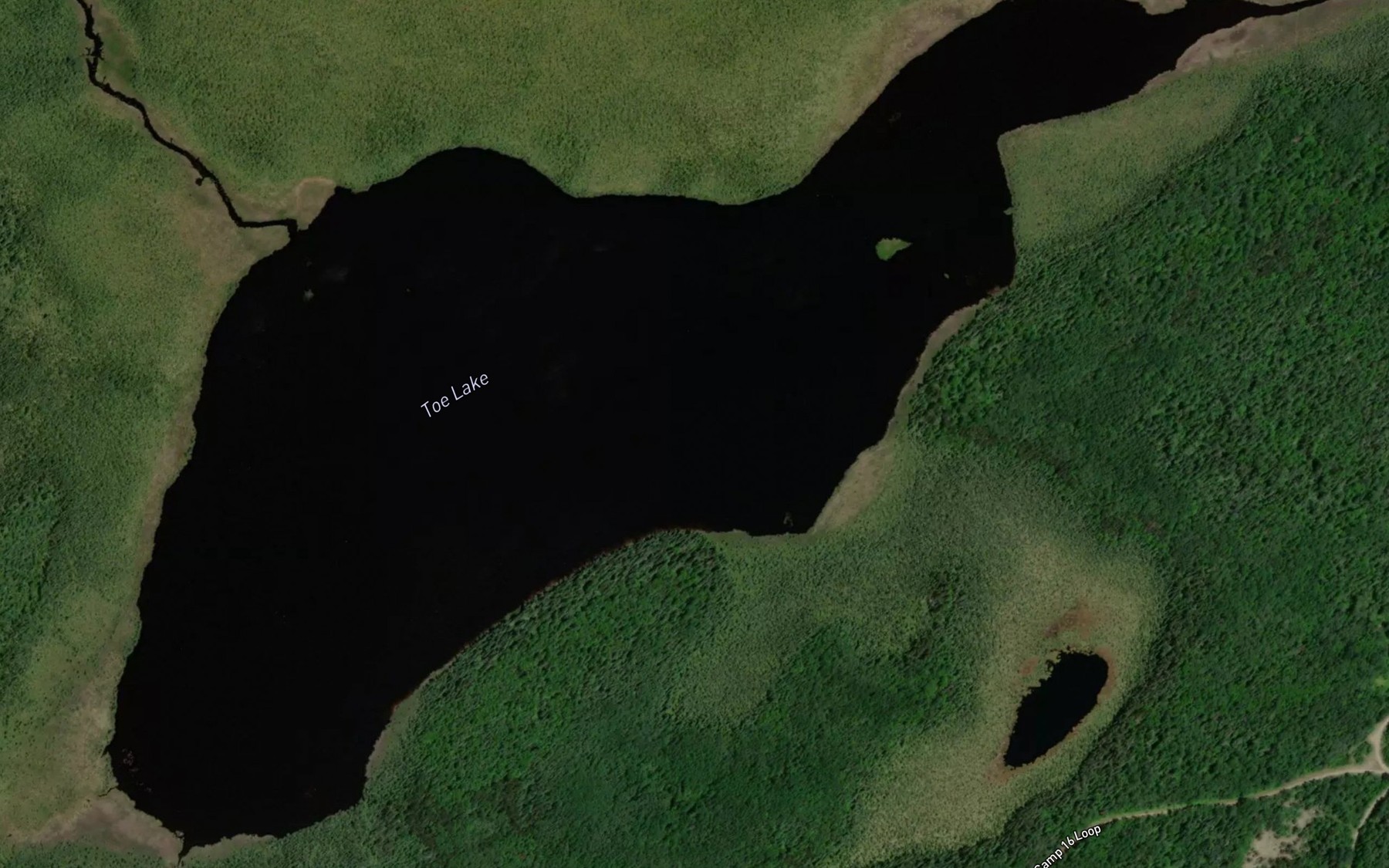 Satellite map of the Toe Lake