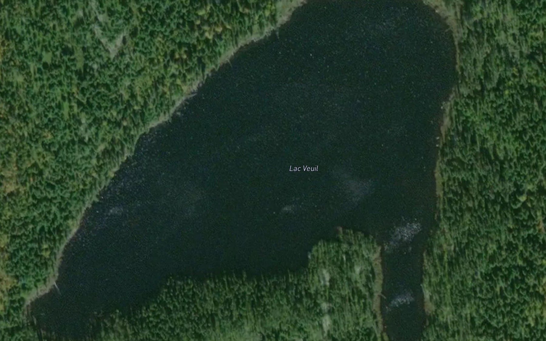 Satellite map of the Lac Veuil