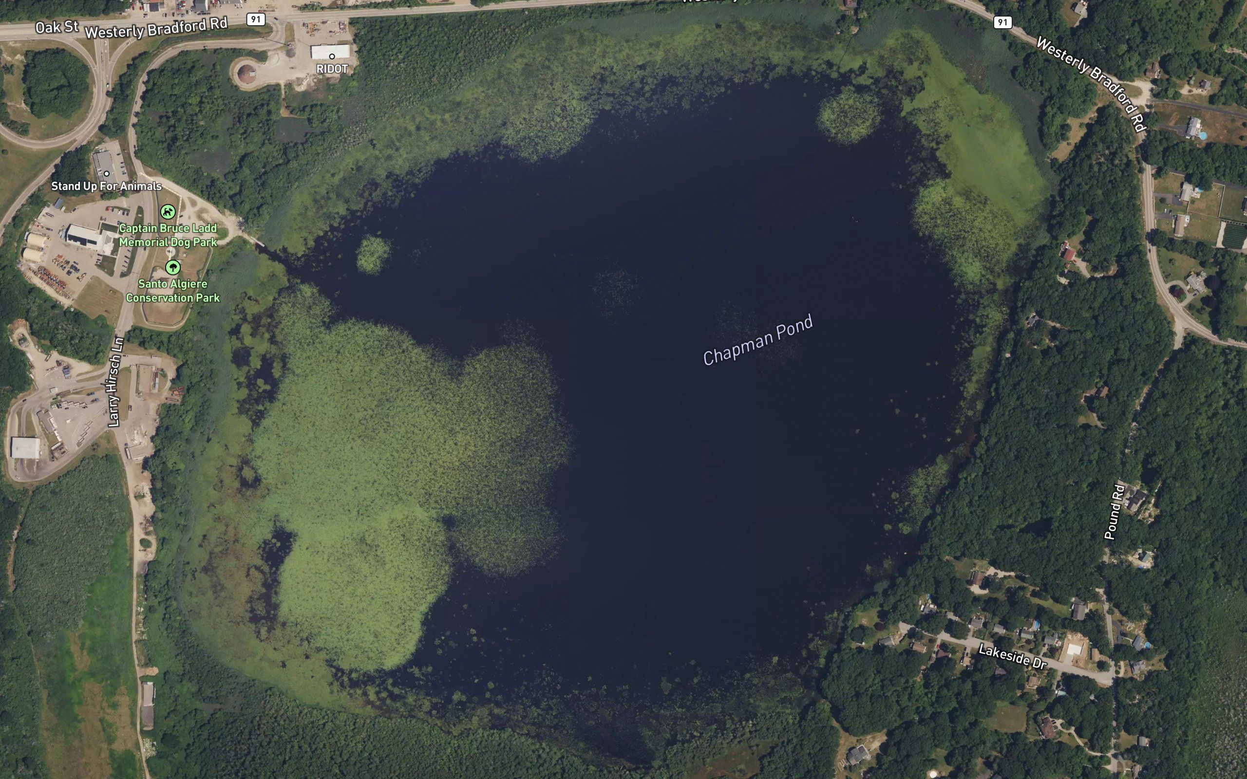 Chapman Pond