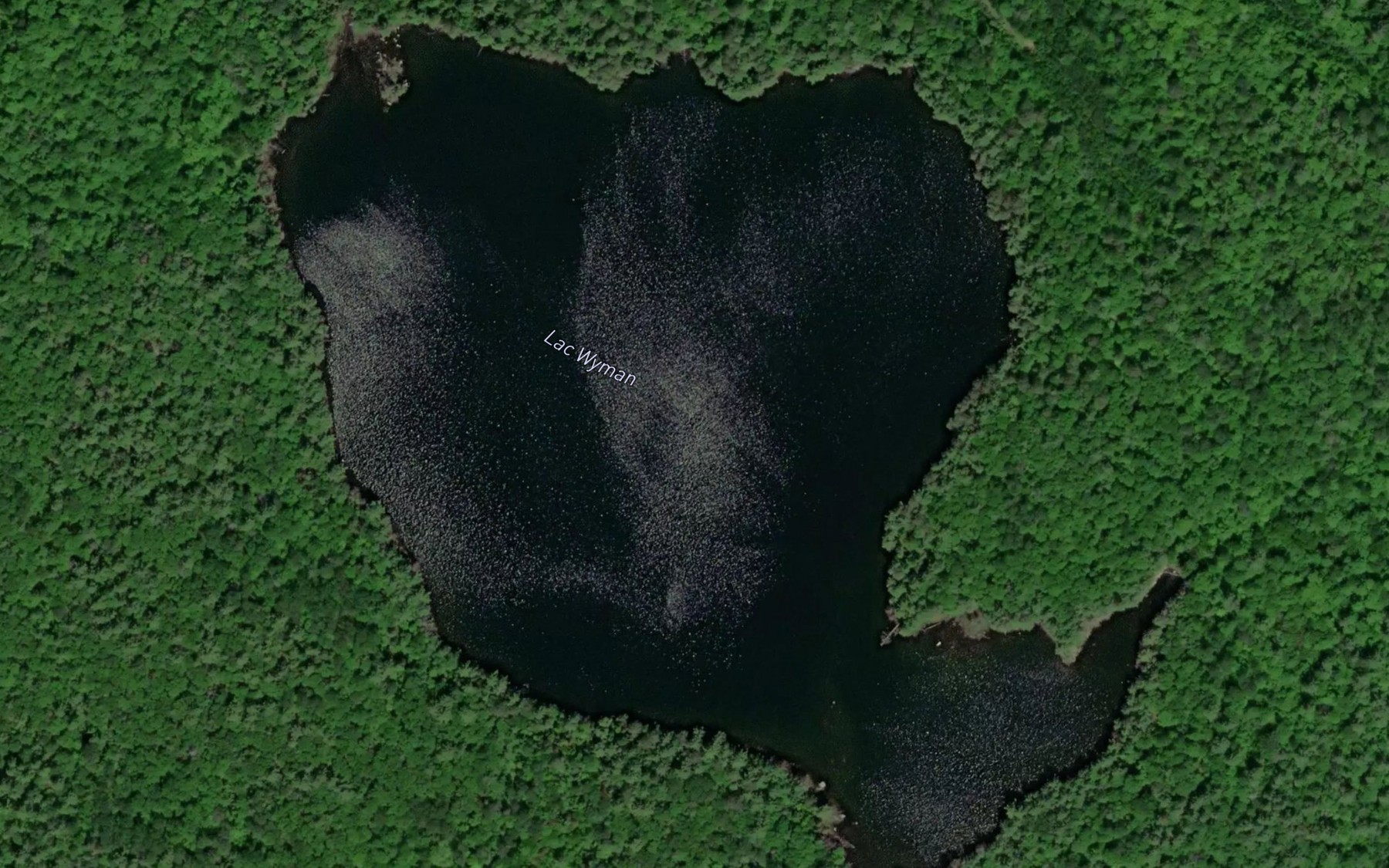 Satellite map of the Lac Wyman