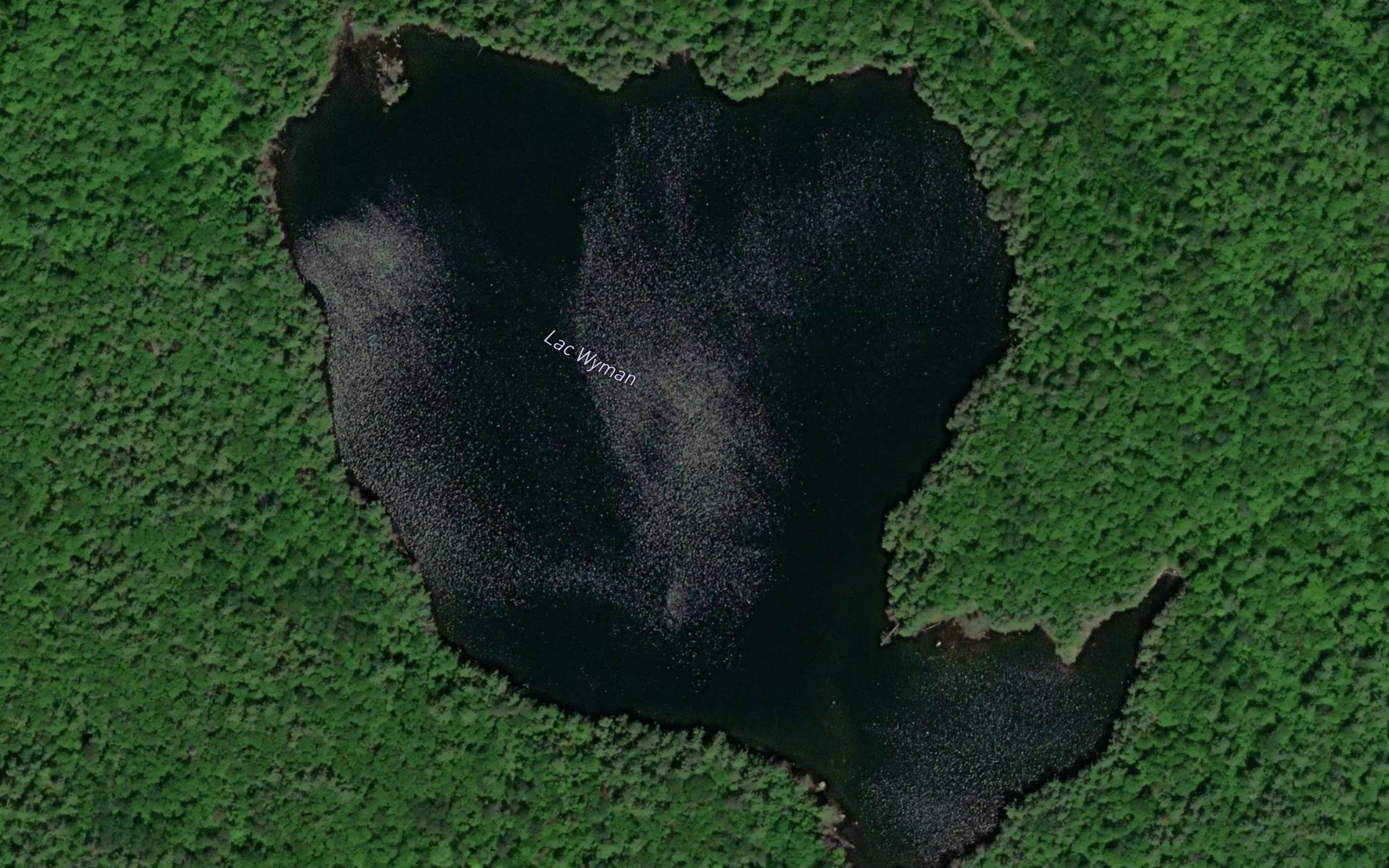 Lac Wyman