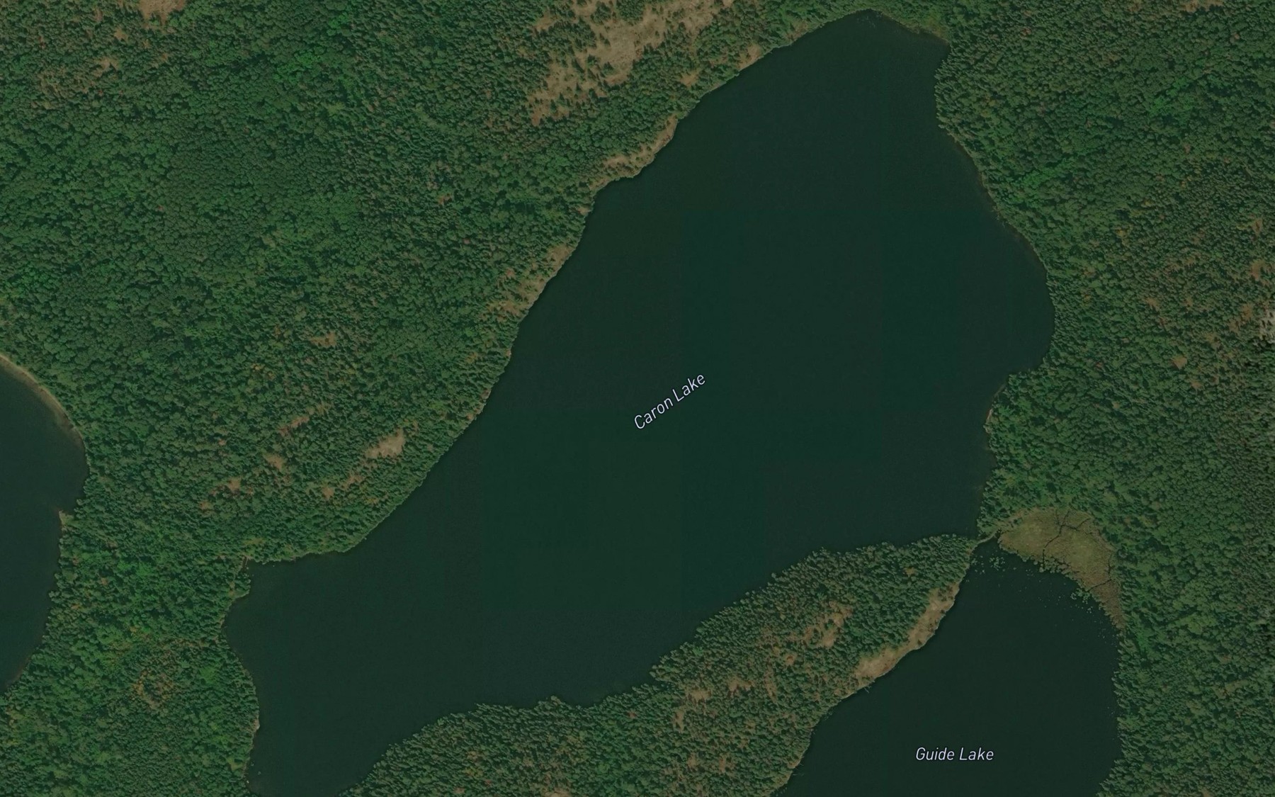 Satellite map of the Caron Lake