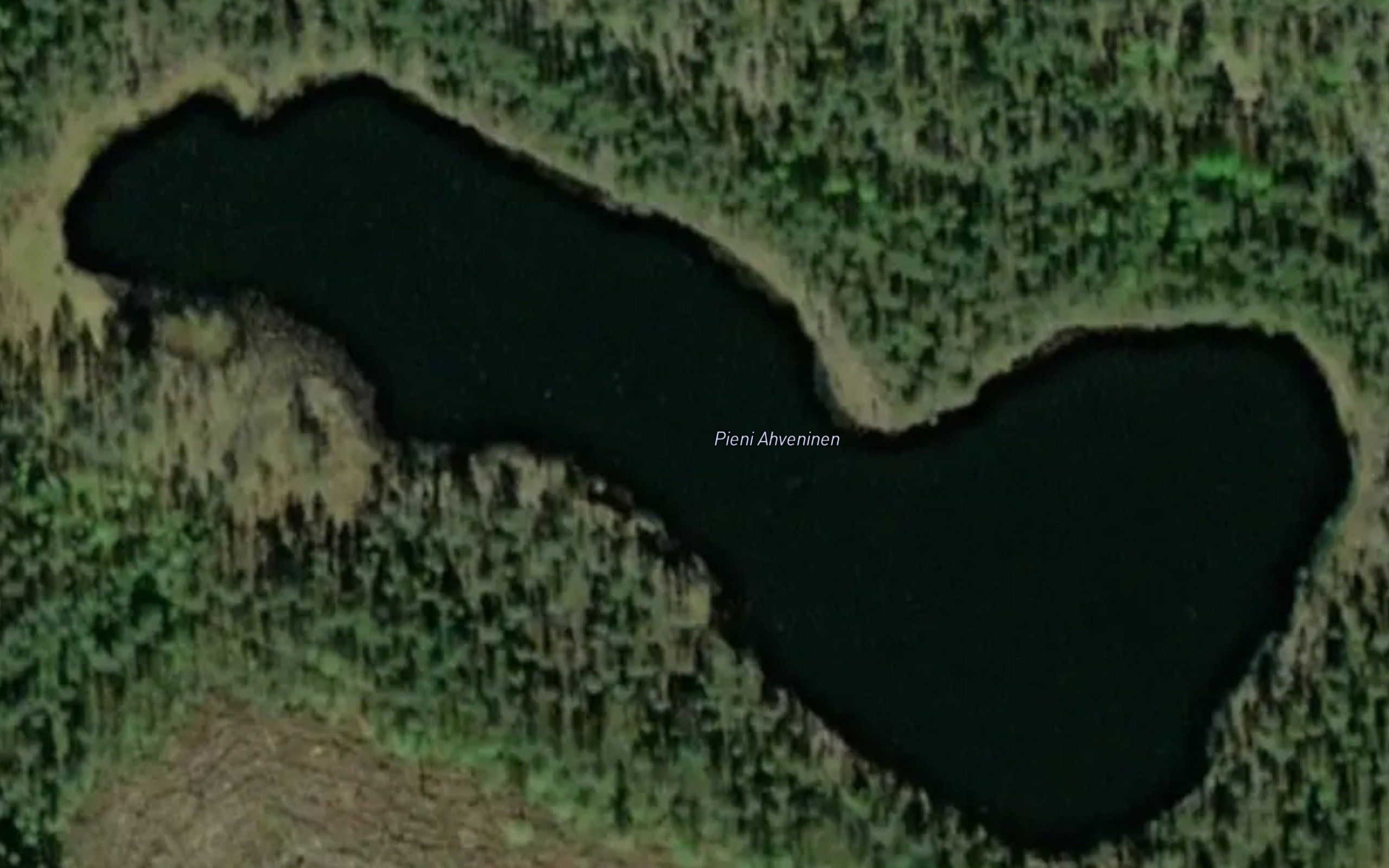 Pieni-Ahveninen