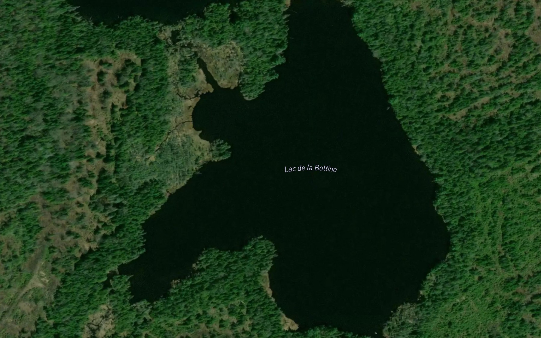 Satellite map of the Lac de la Bottine