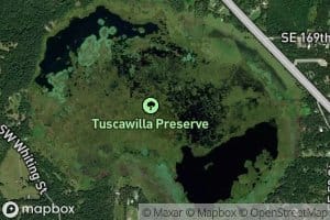 Tuscawilla Lake