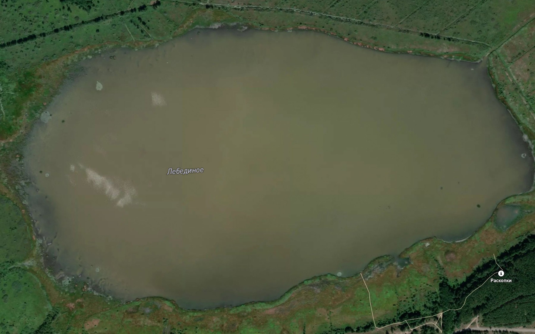 Satellite map of the Ozero Lebedinoye