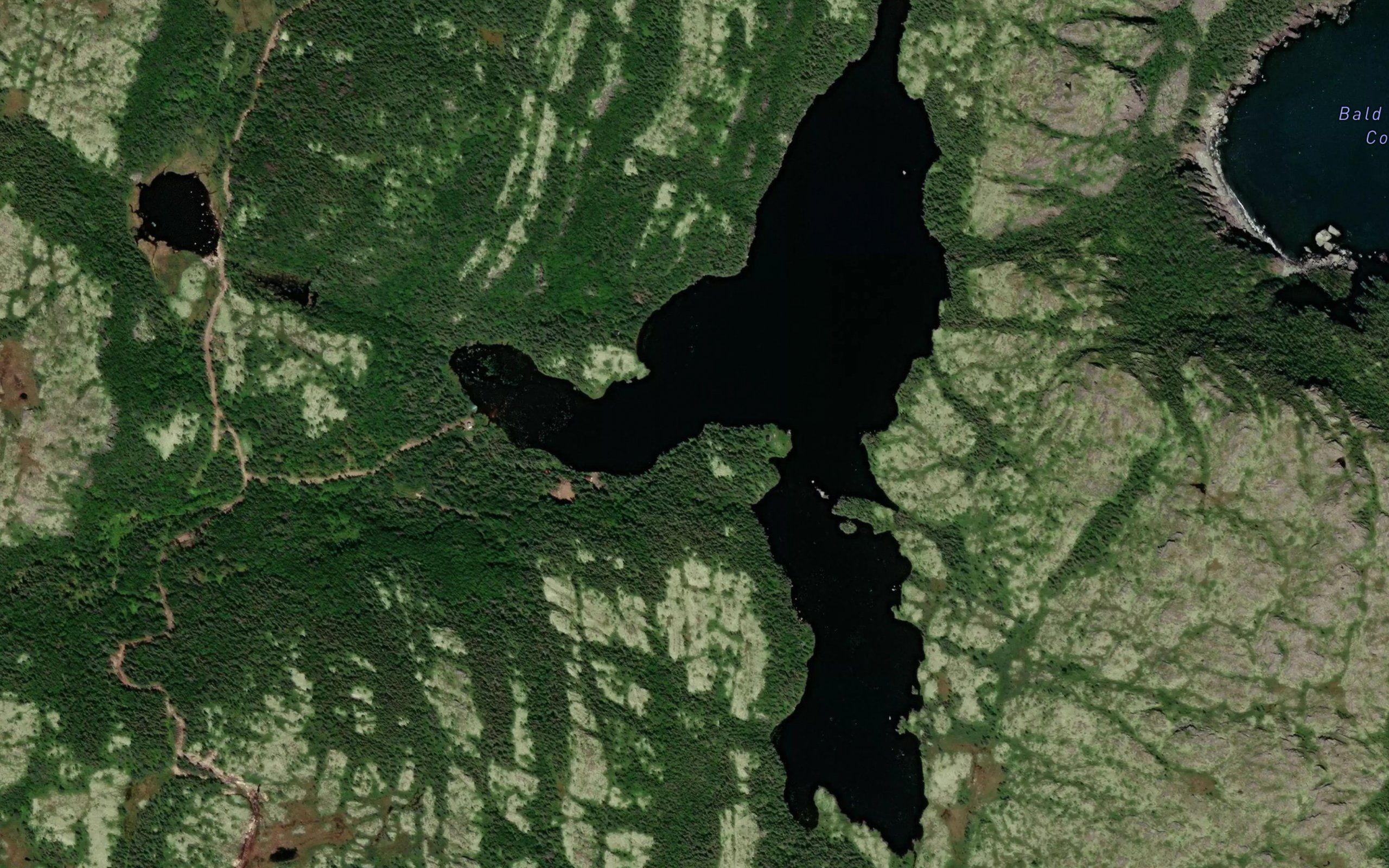 Bald Head Pond